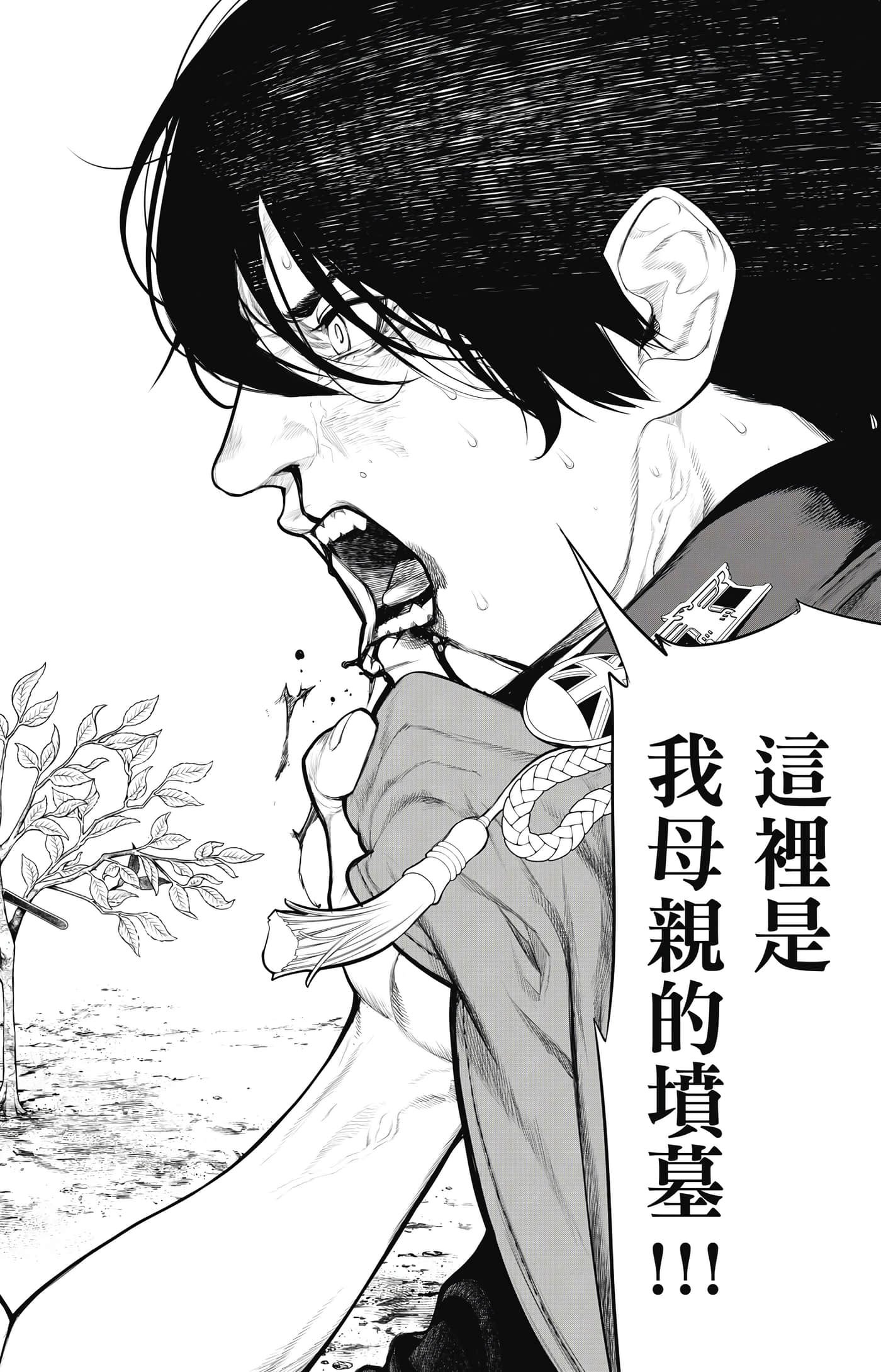 第 127 页