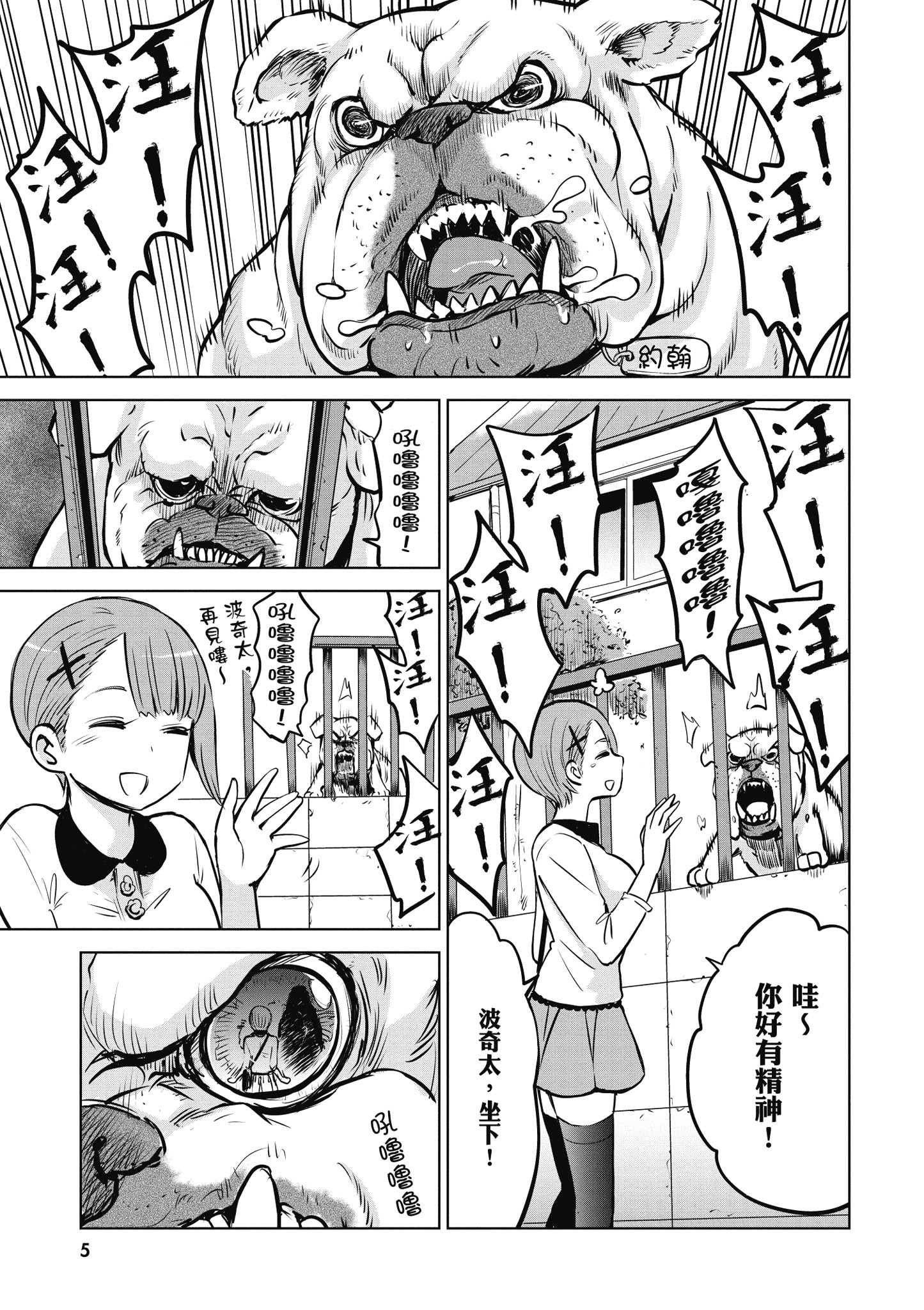 第 6 页