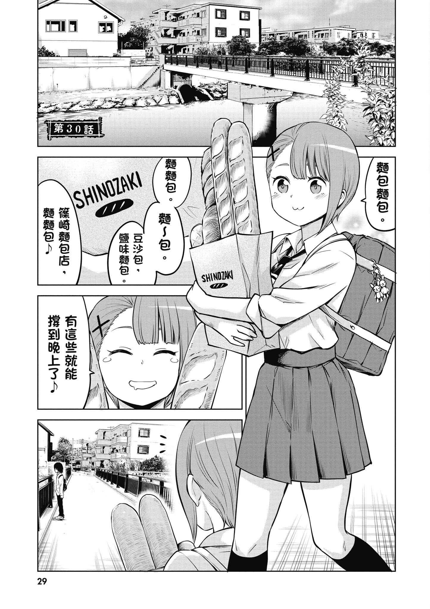 第 30 页