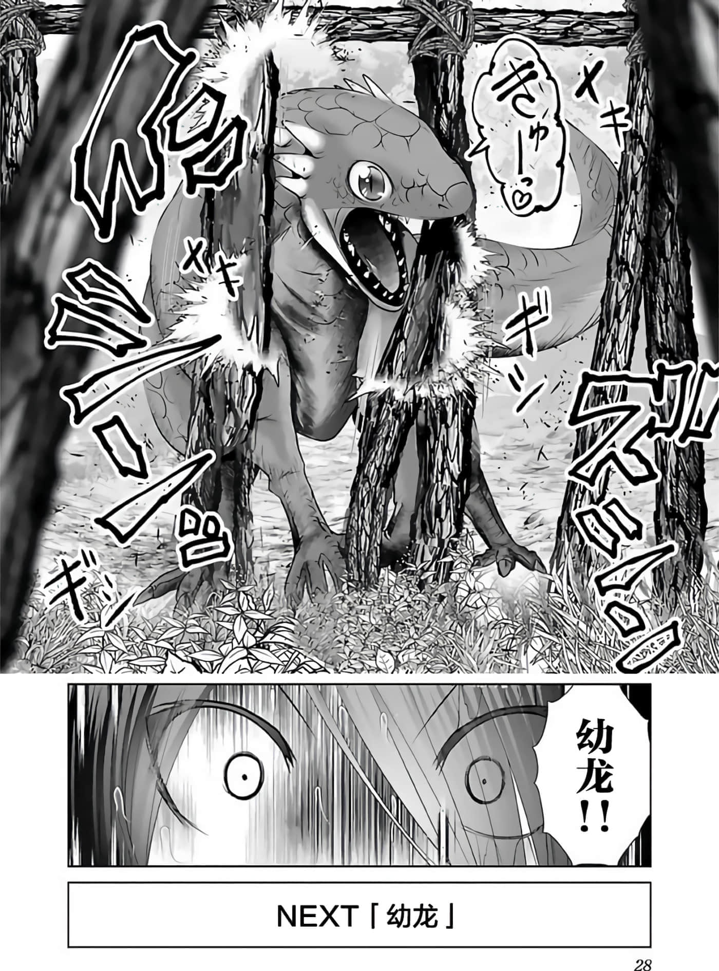 第 29 页