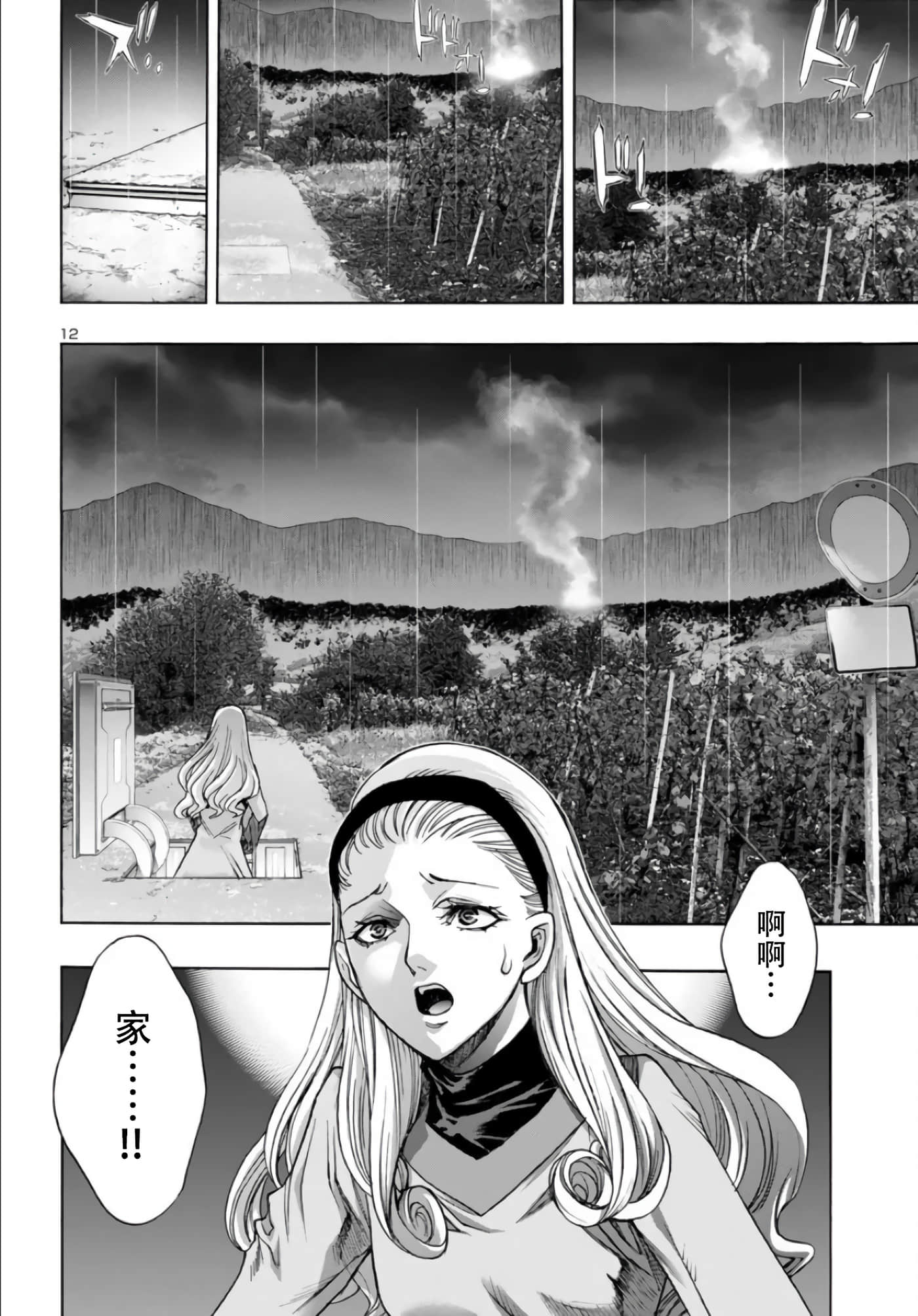 第 12 页