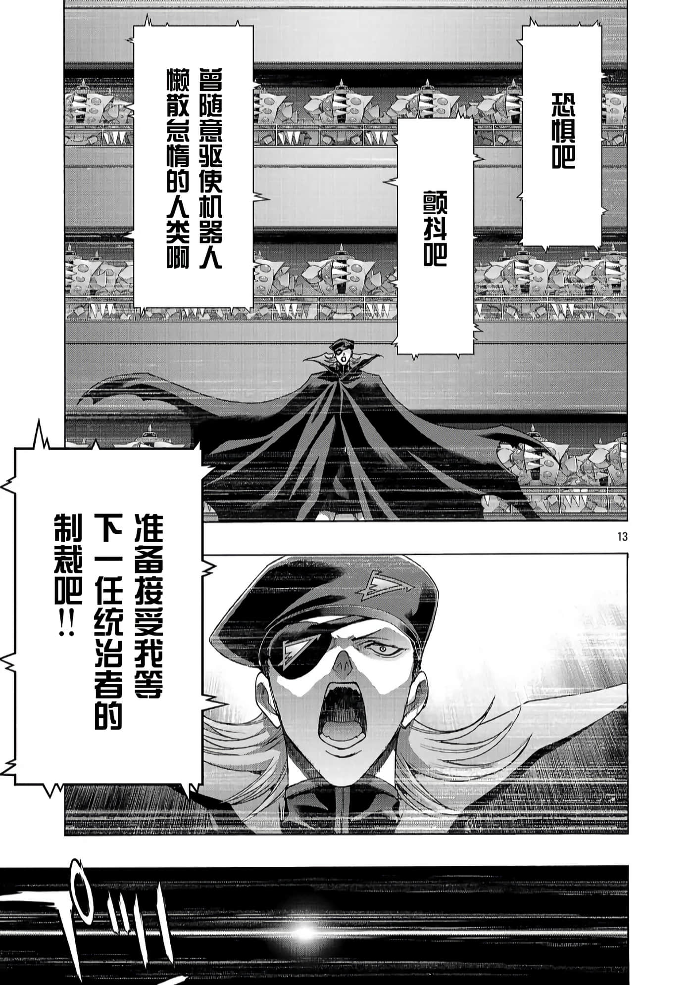 第 13 页
