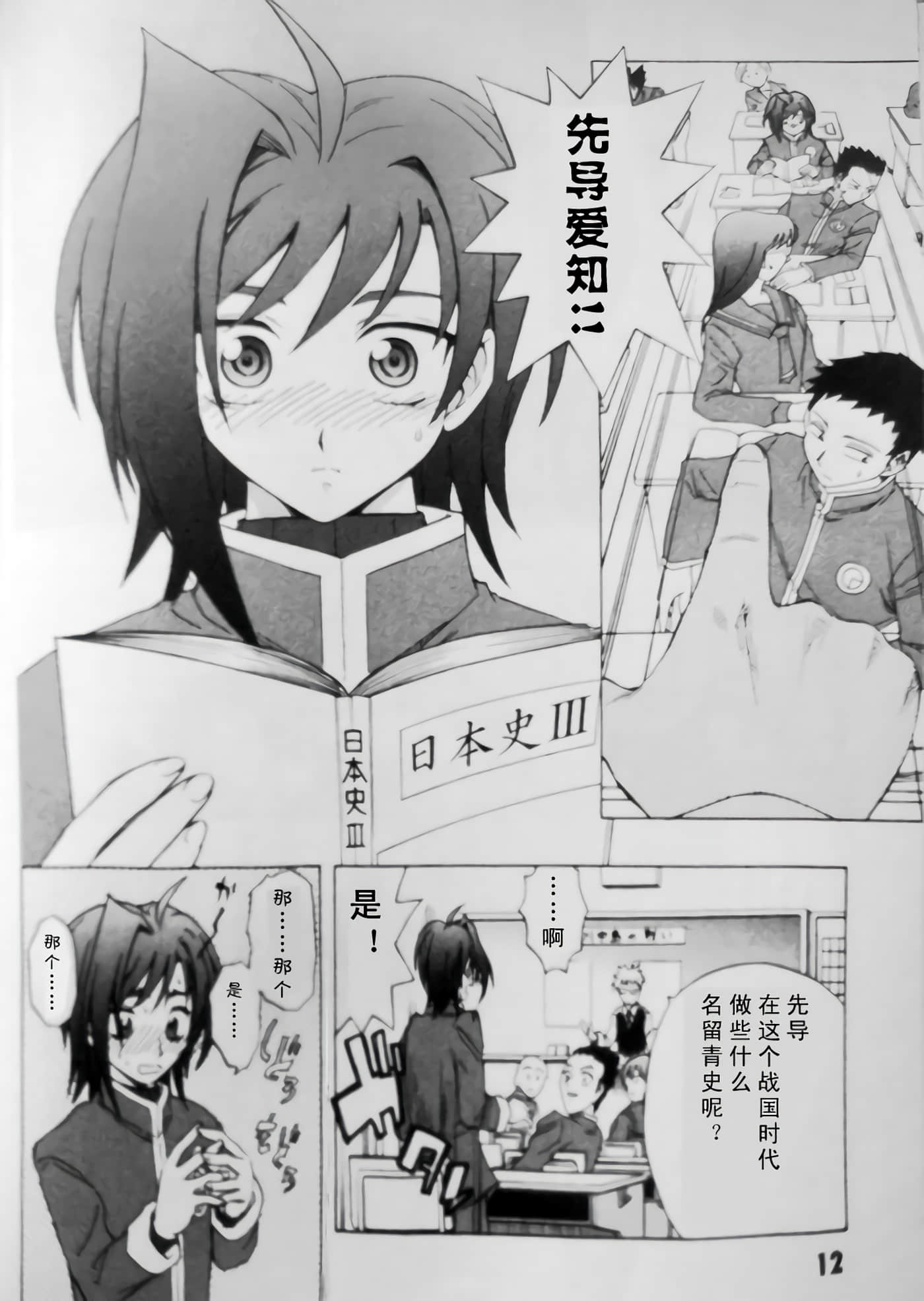 第 12 页