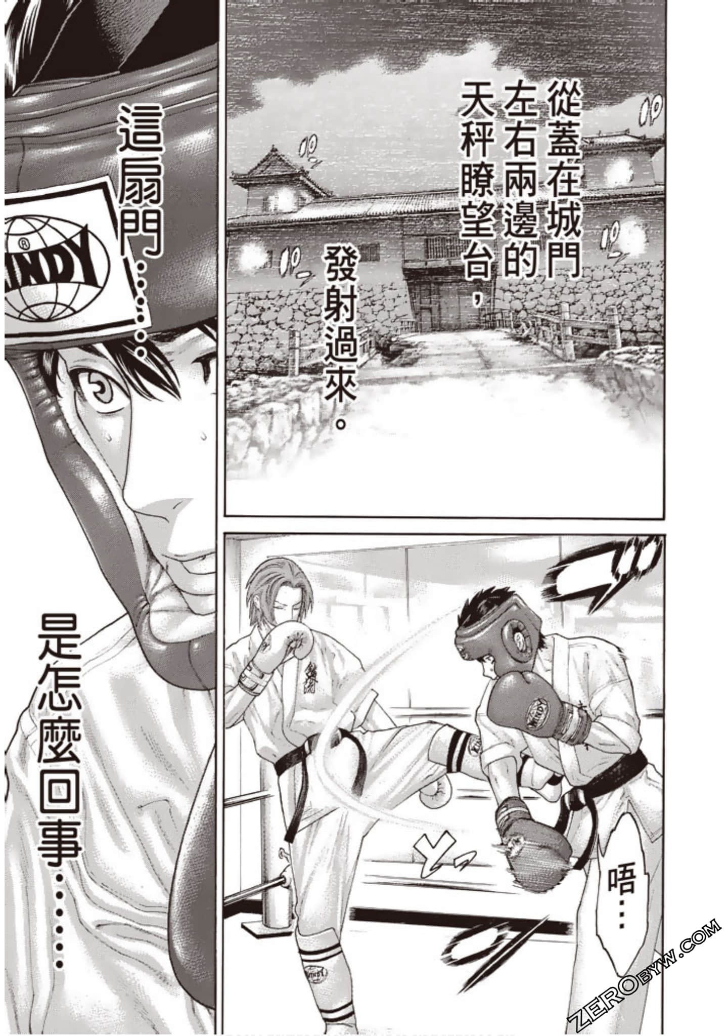 Page 102