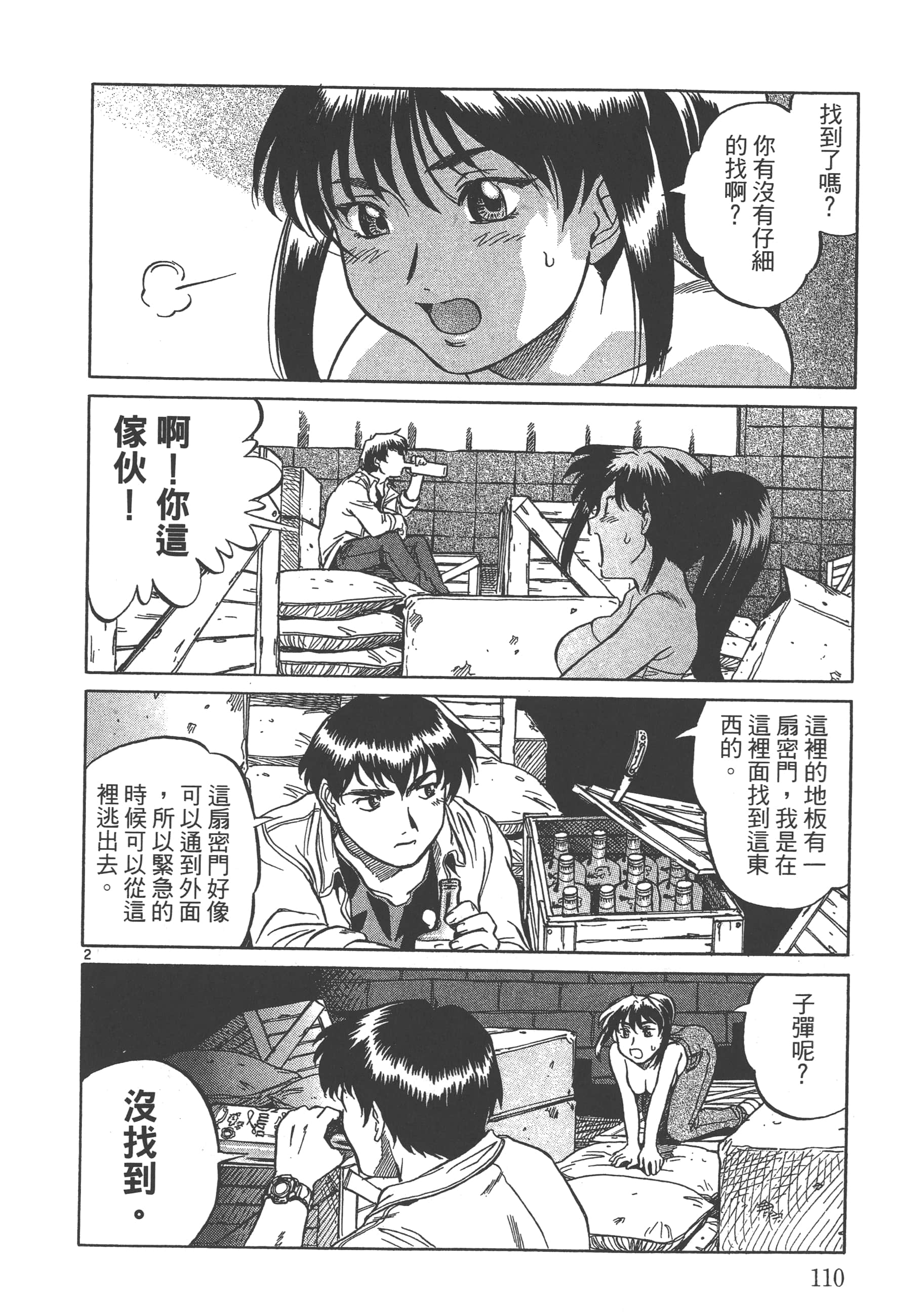 Page 111