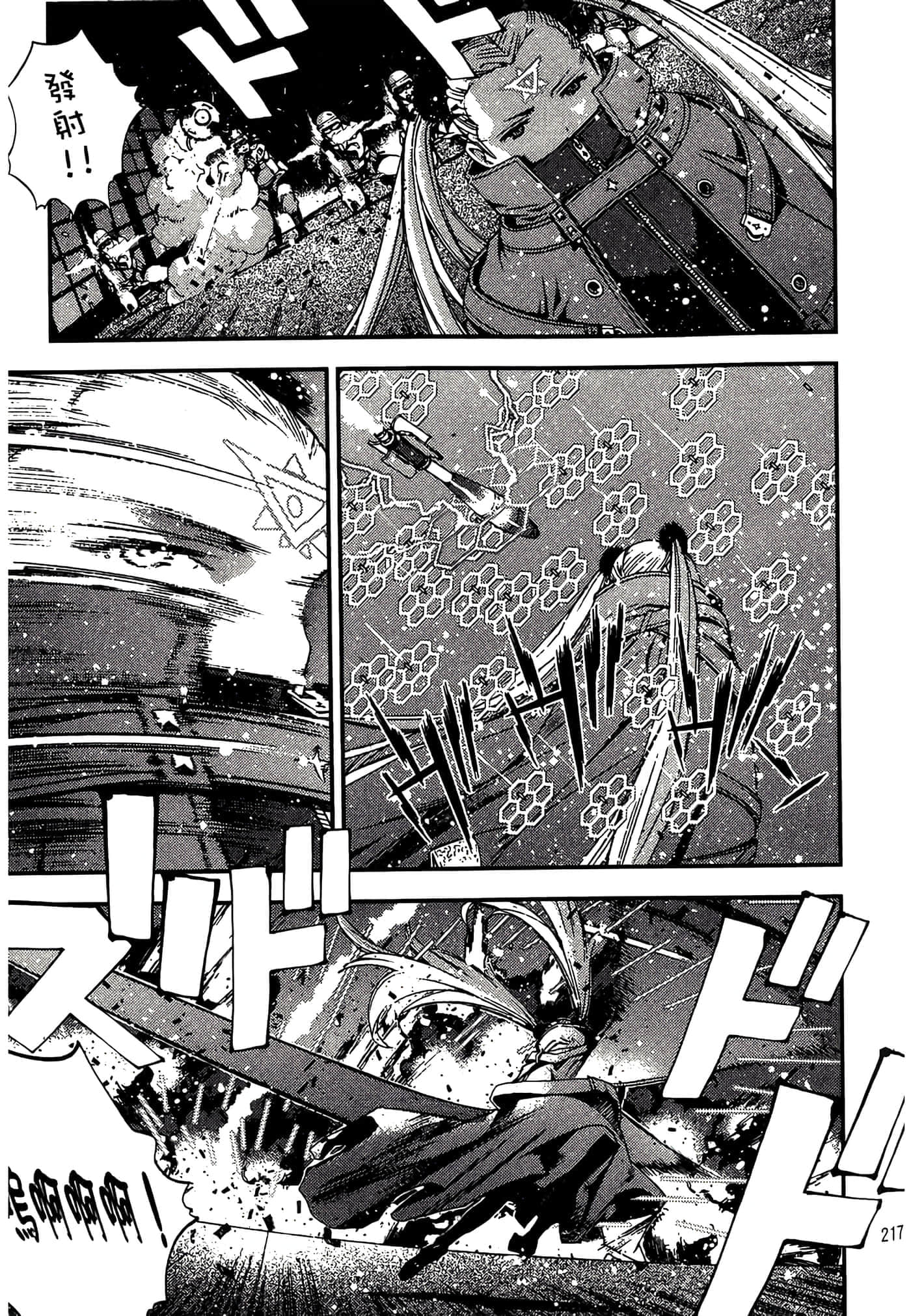 第 219 页