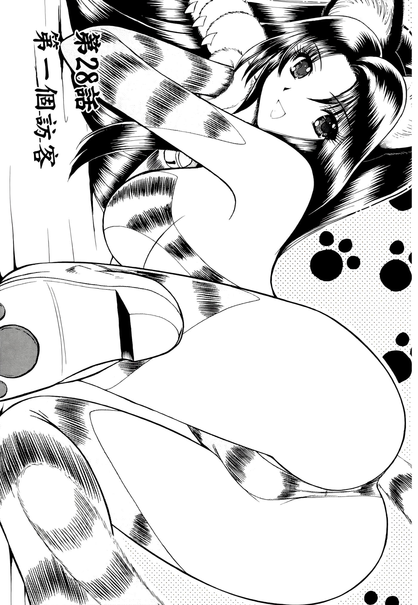 第 95 页
