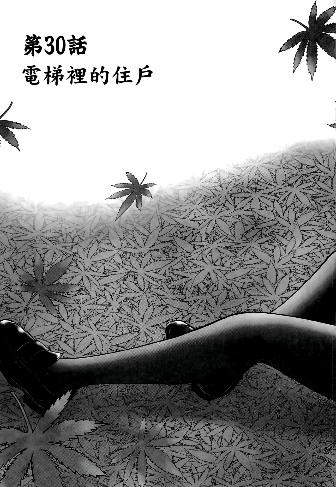 第 119 页