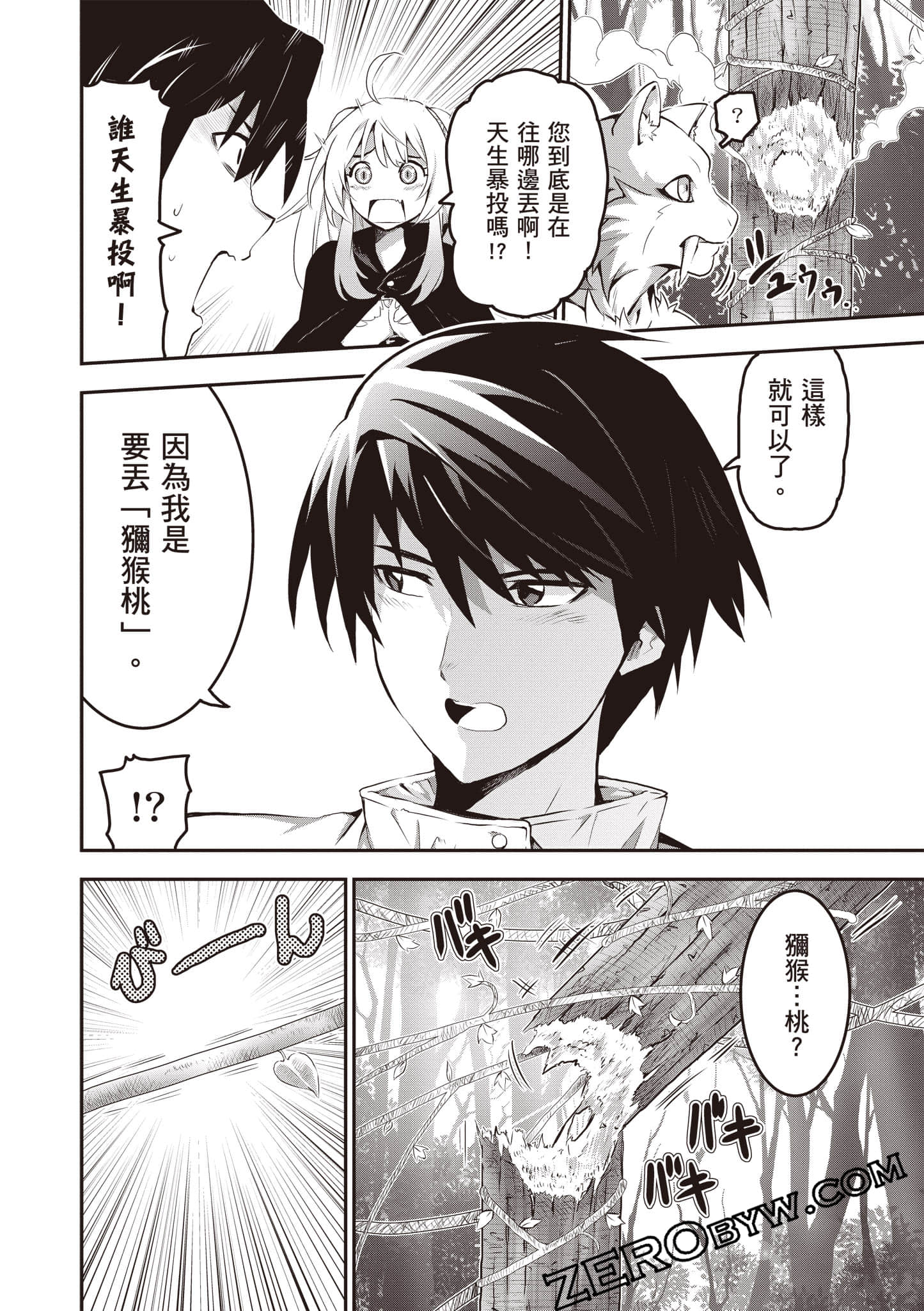 第 33 页