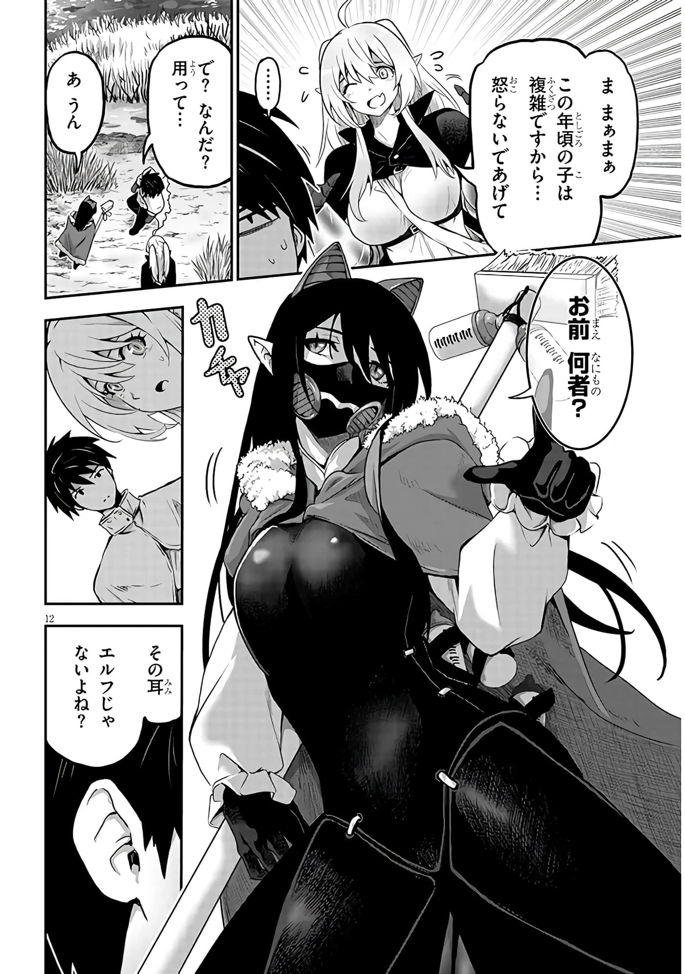 第 12 页