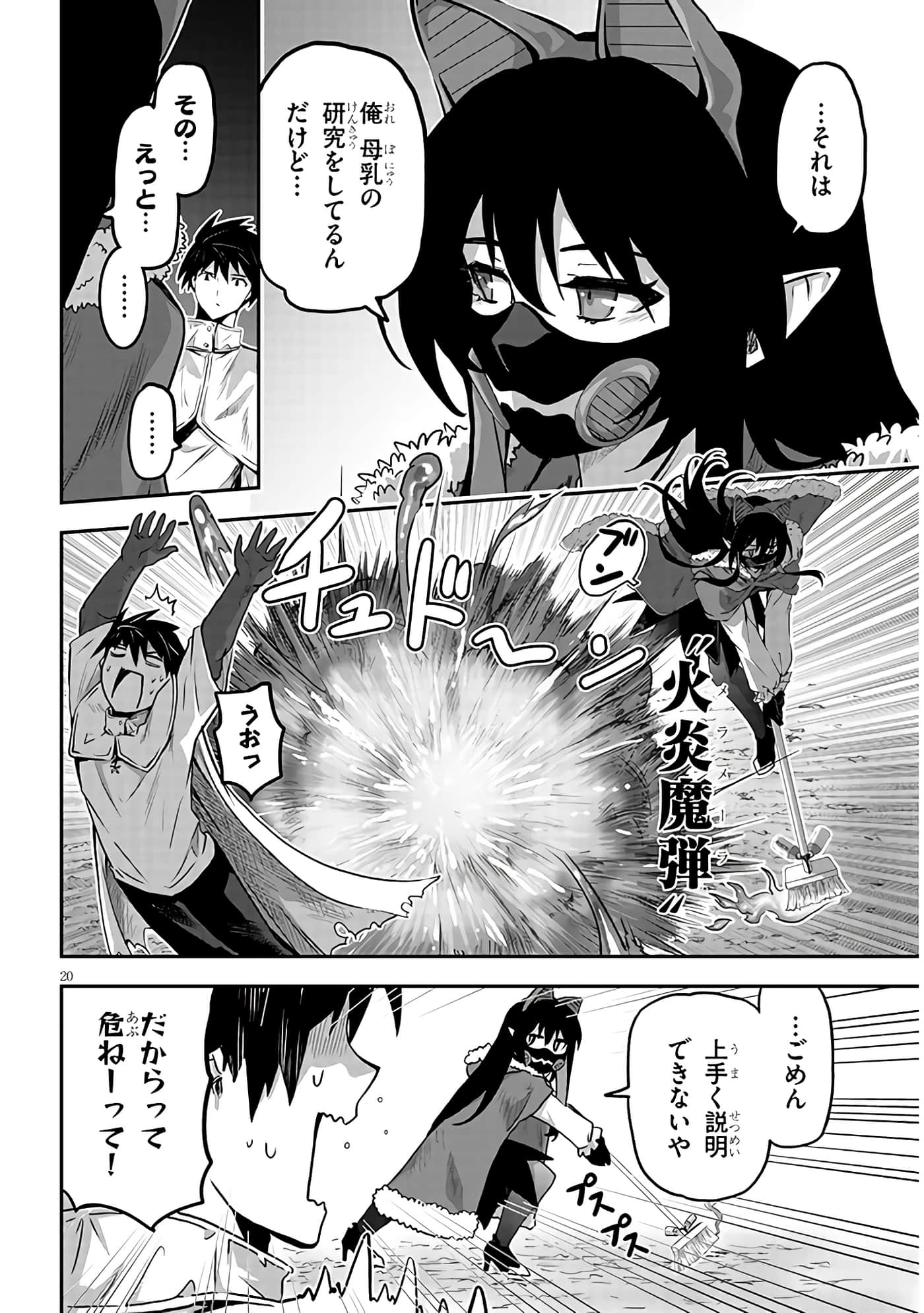 第 20 页