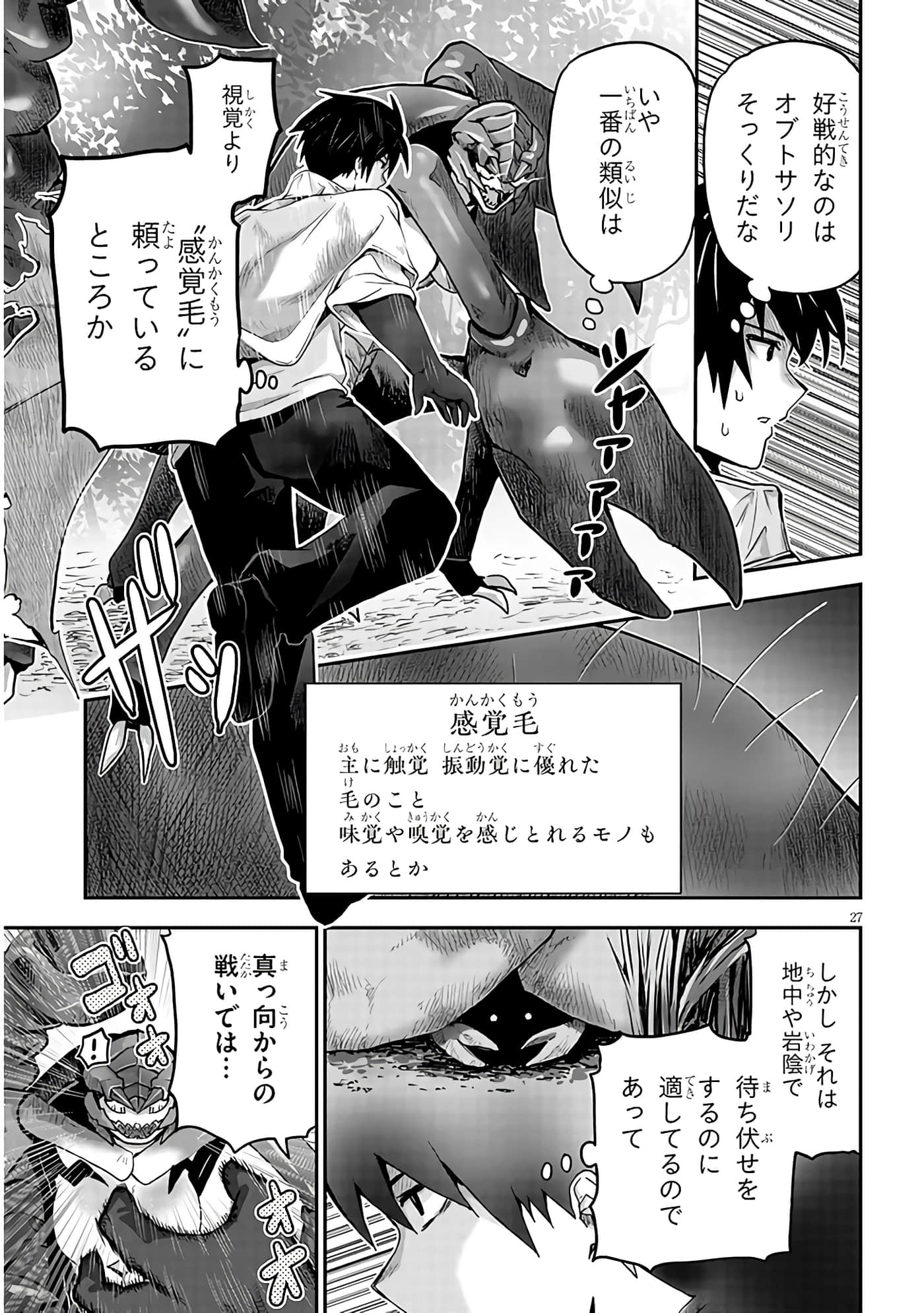 第 27 页