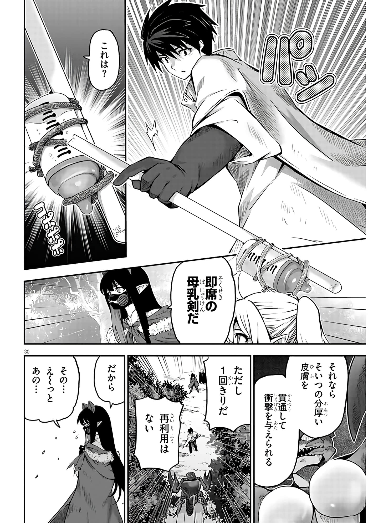 第 30 页