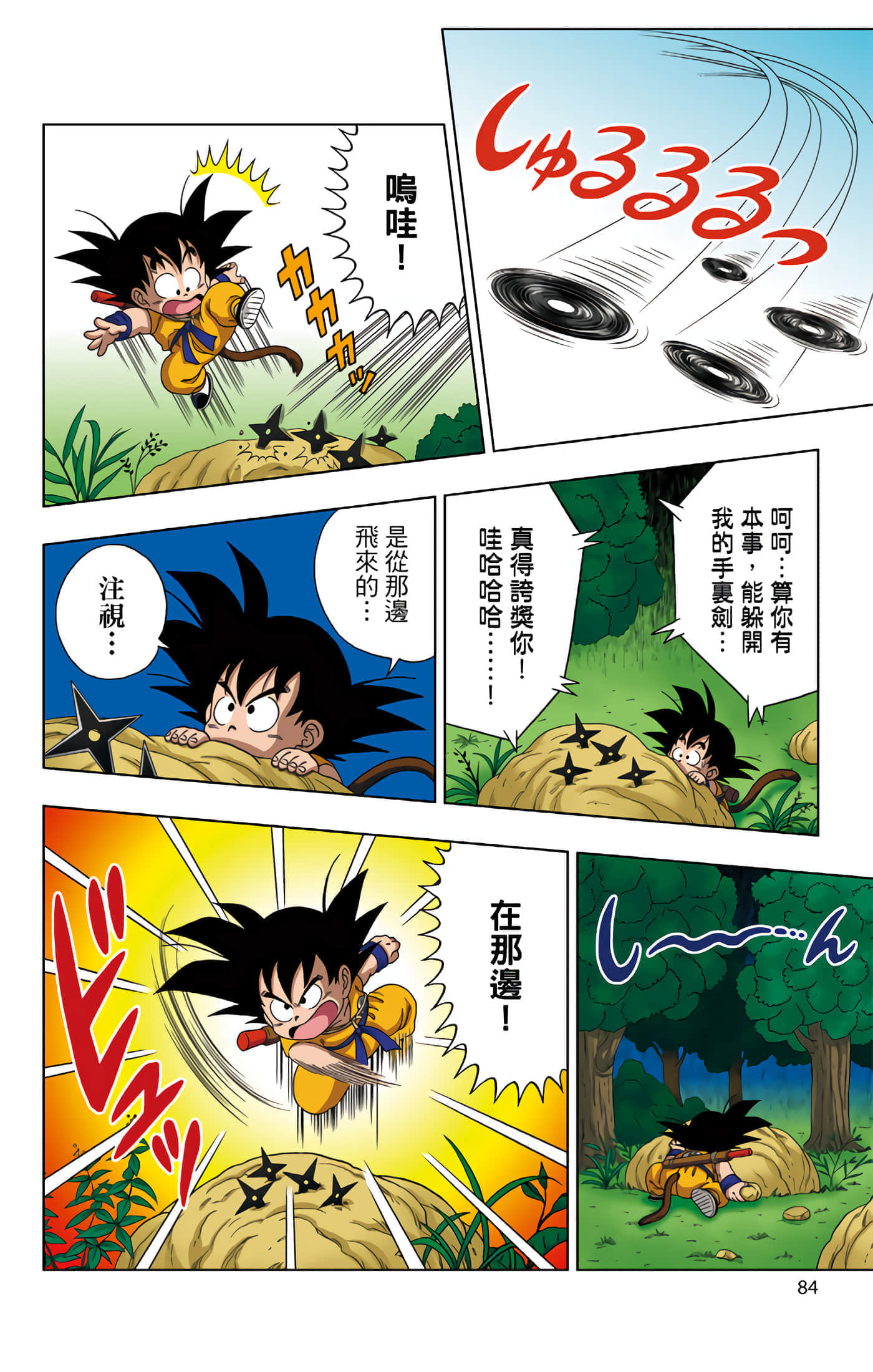 Page 85