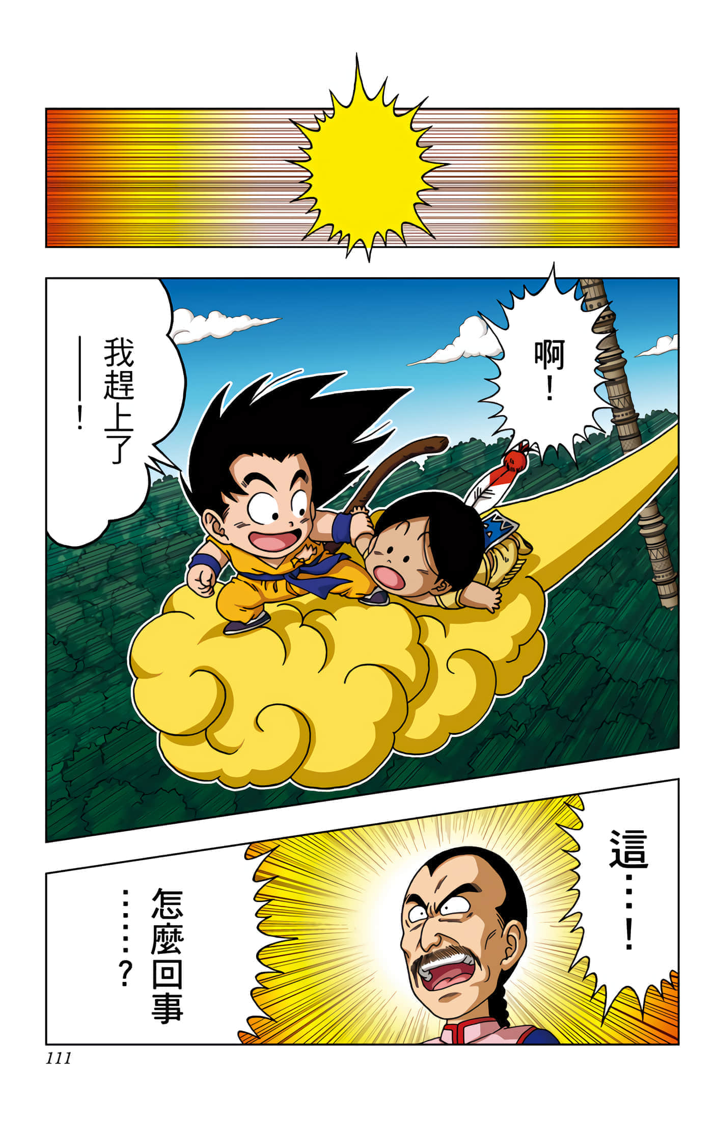 Page 112