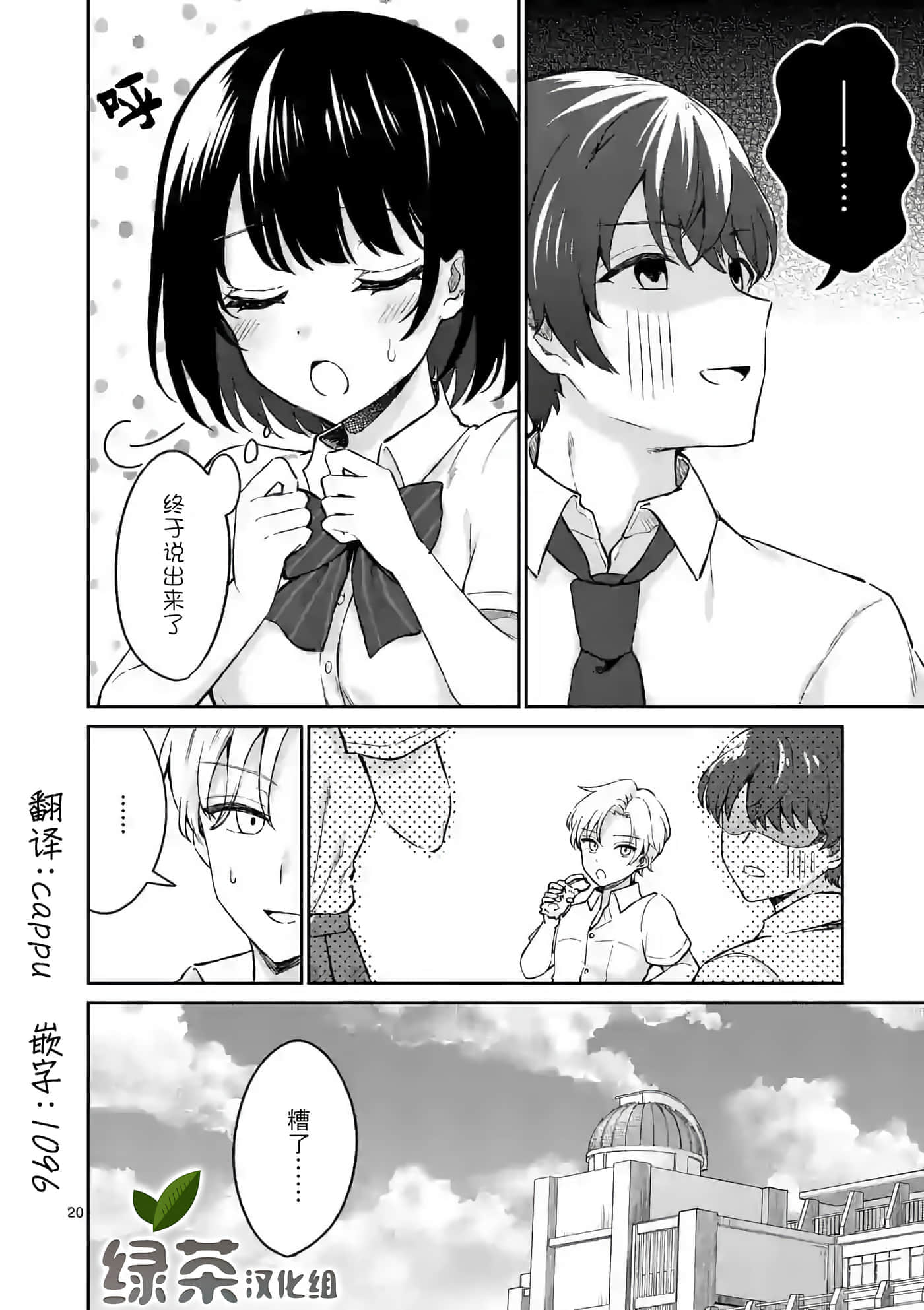 第 20 页
