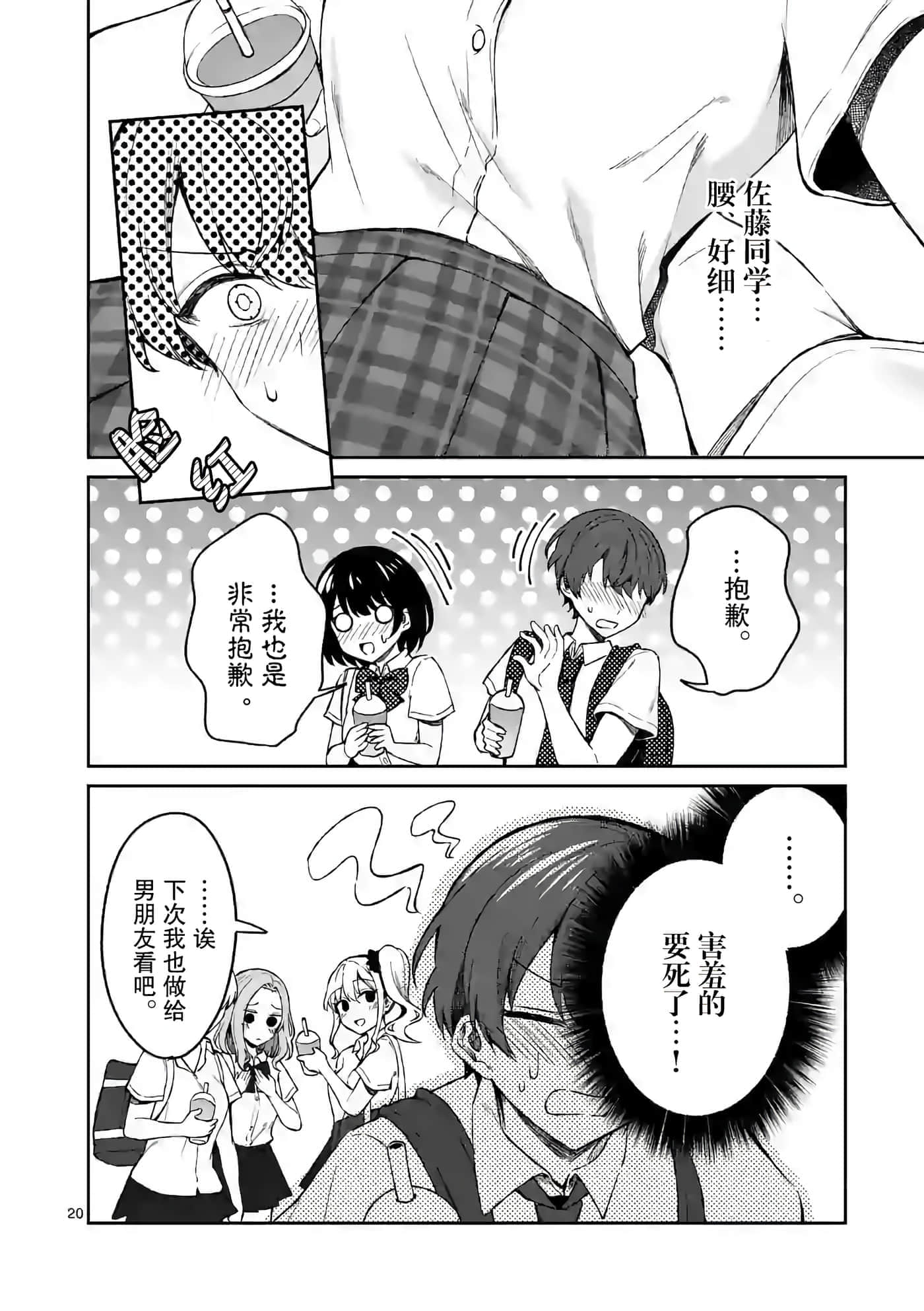 第 20 页