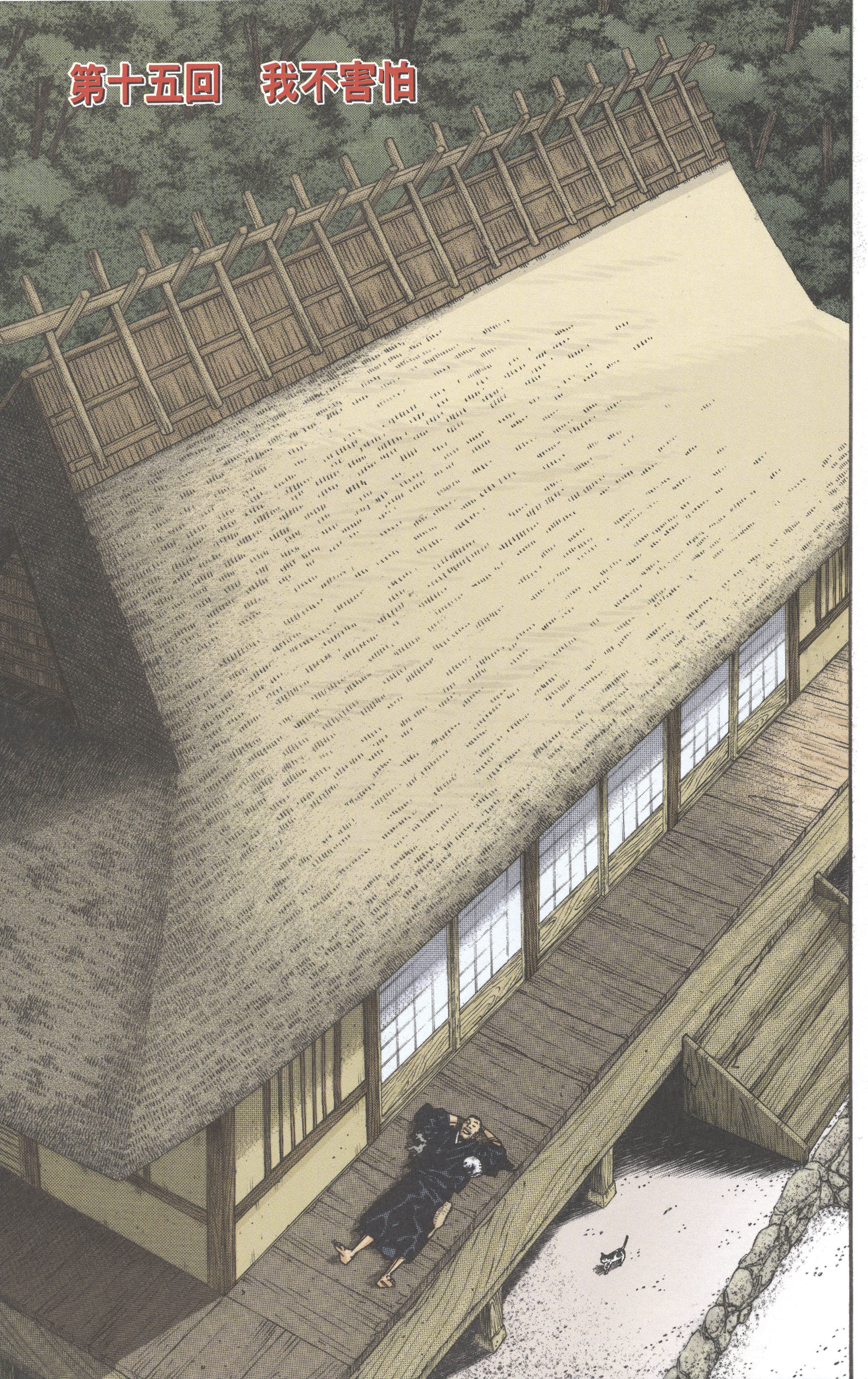 第 46 页