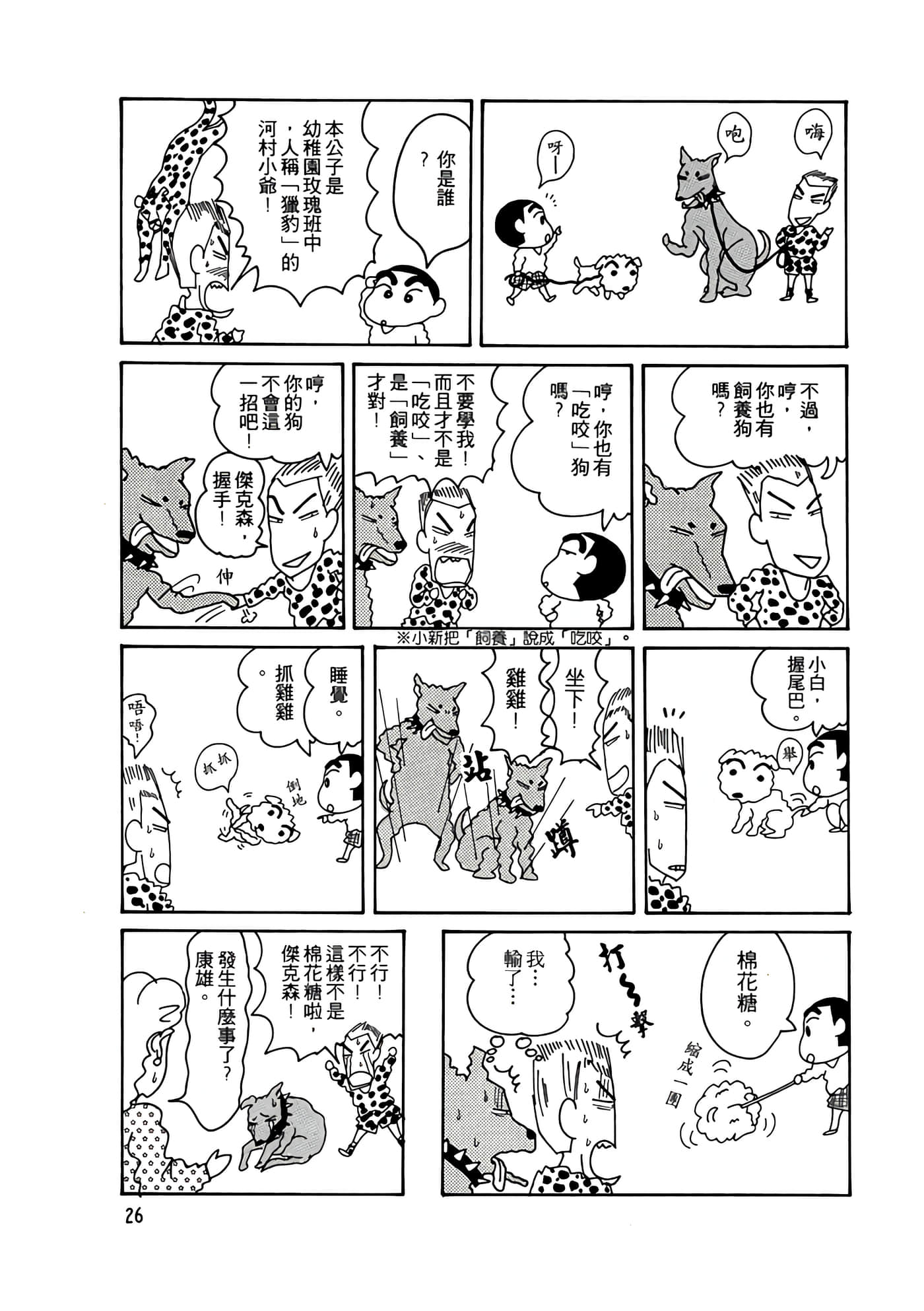 Page 26