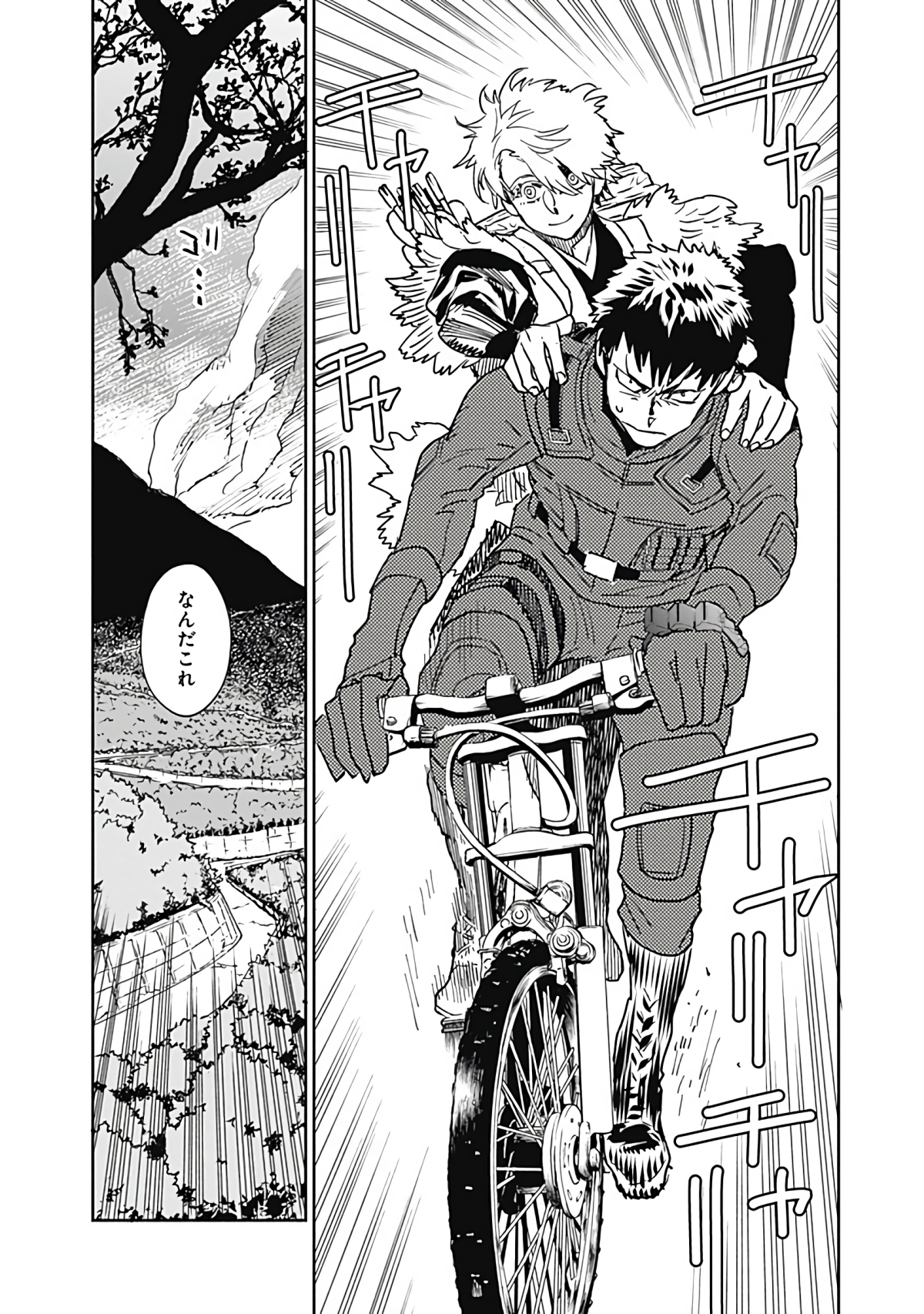 Page 55