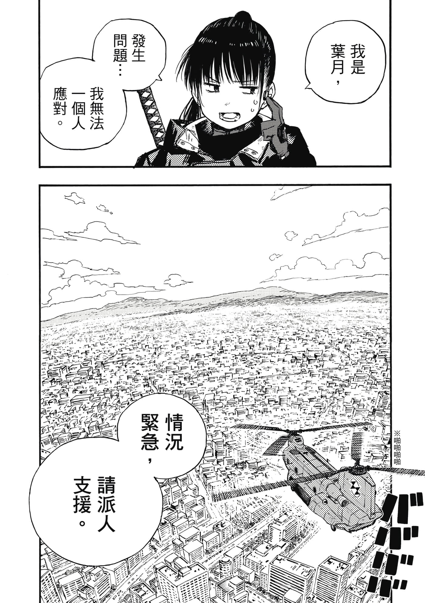 第 77 页