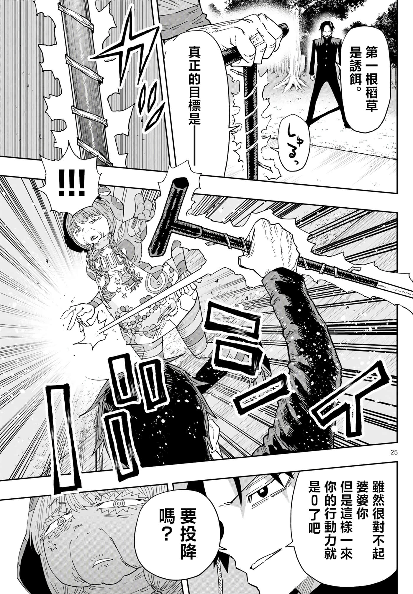Page 25