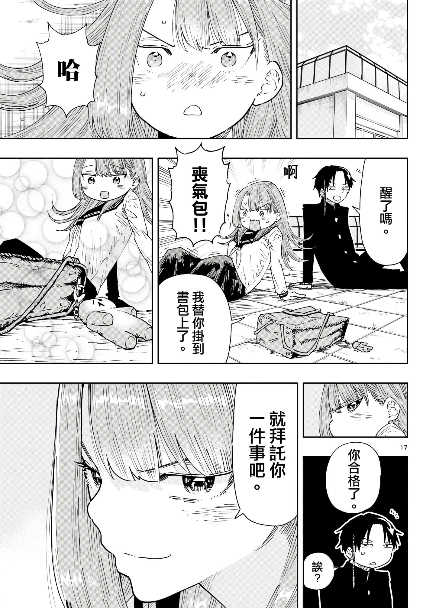 Page 17