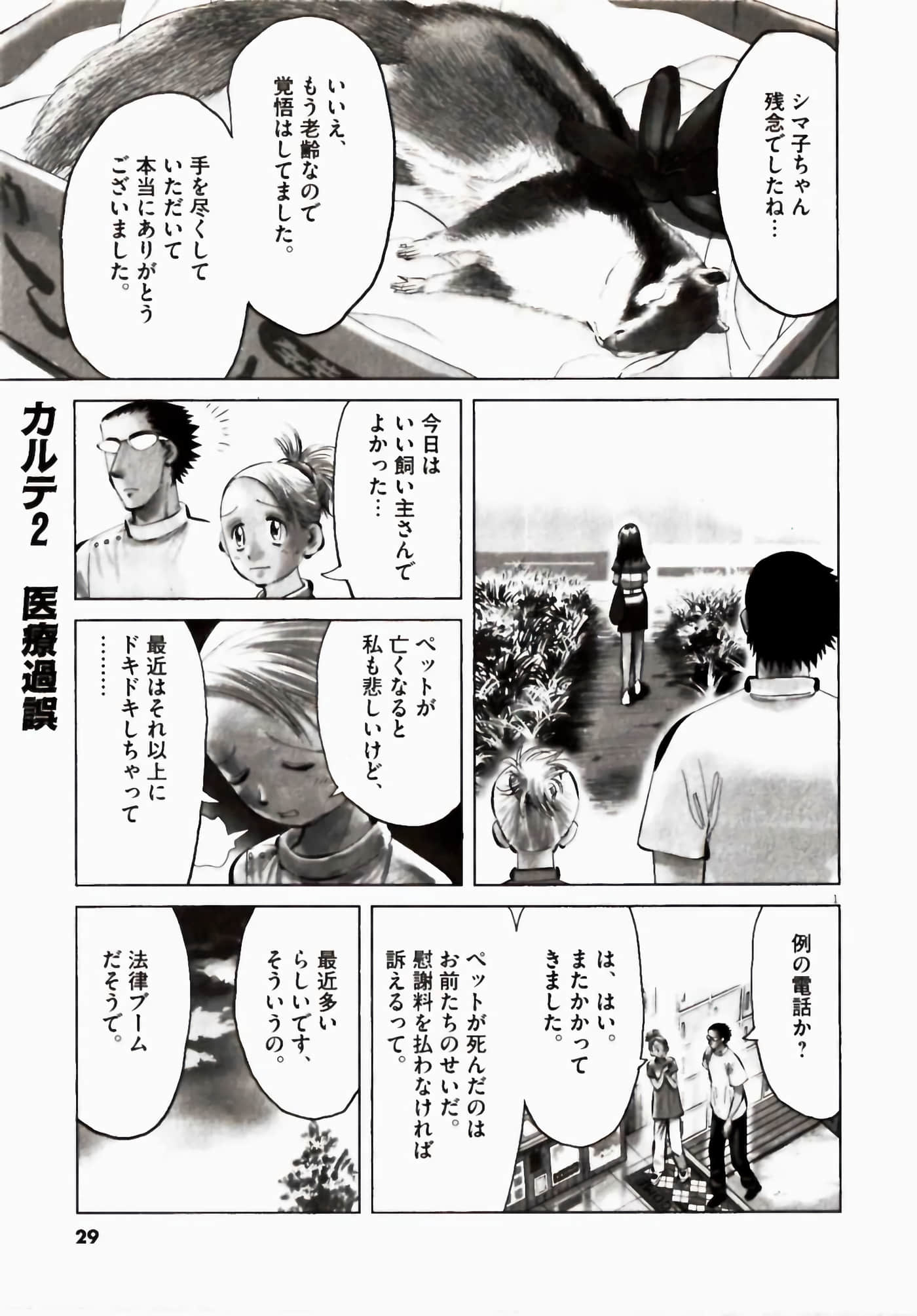 Page 29