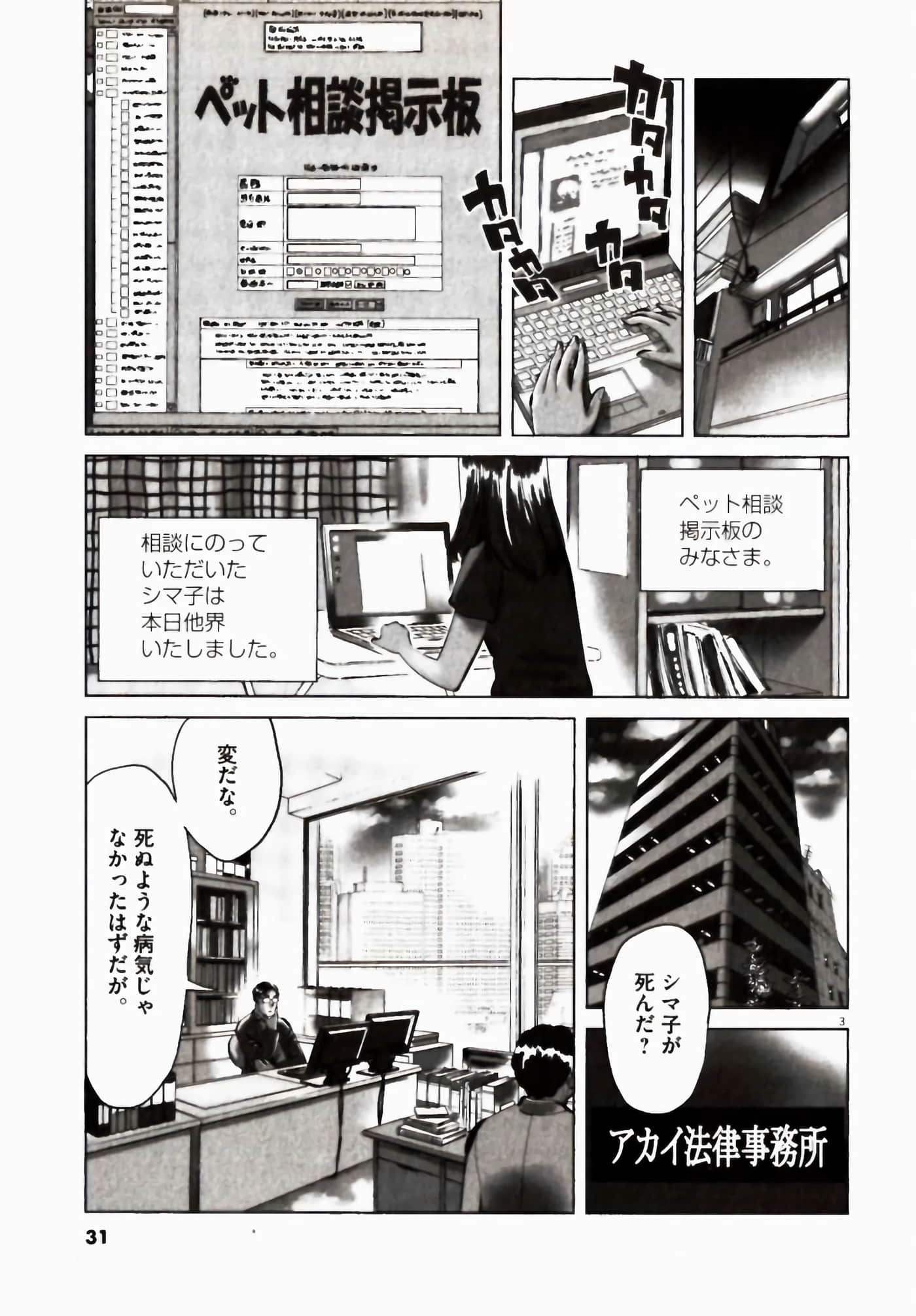 Page 31