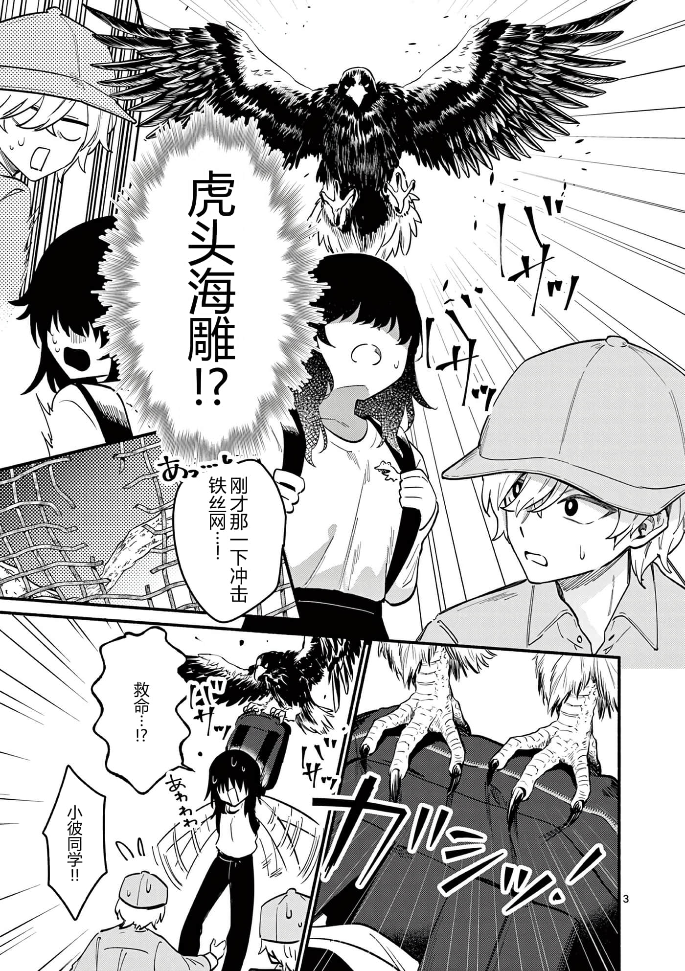 第 46 页