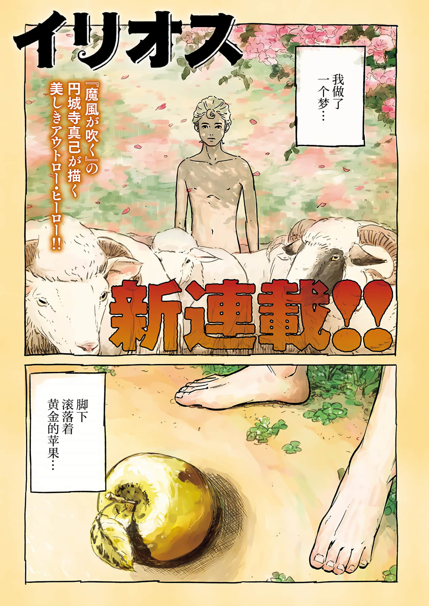第 1 页