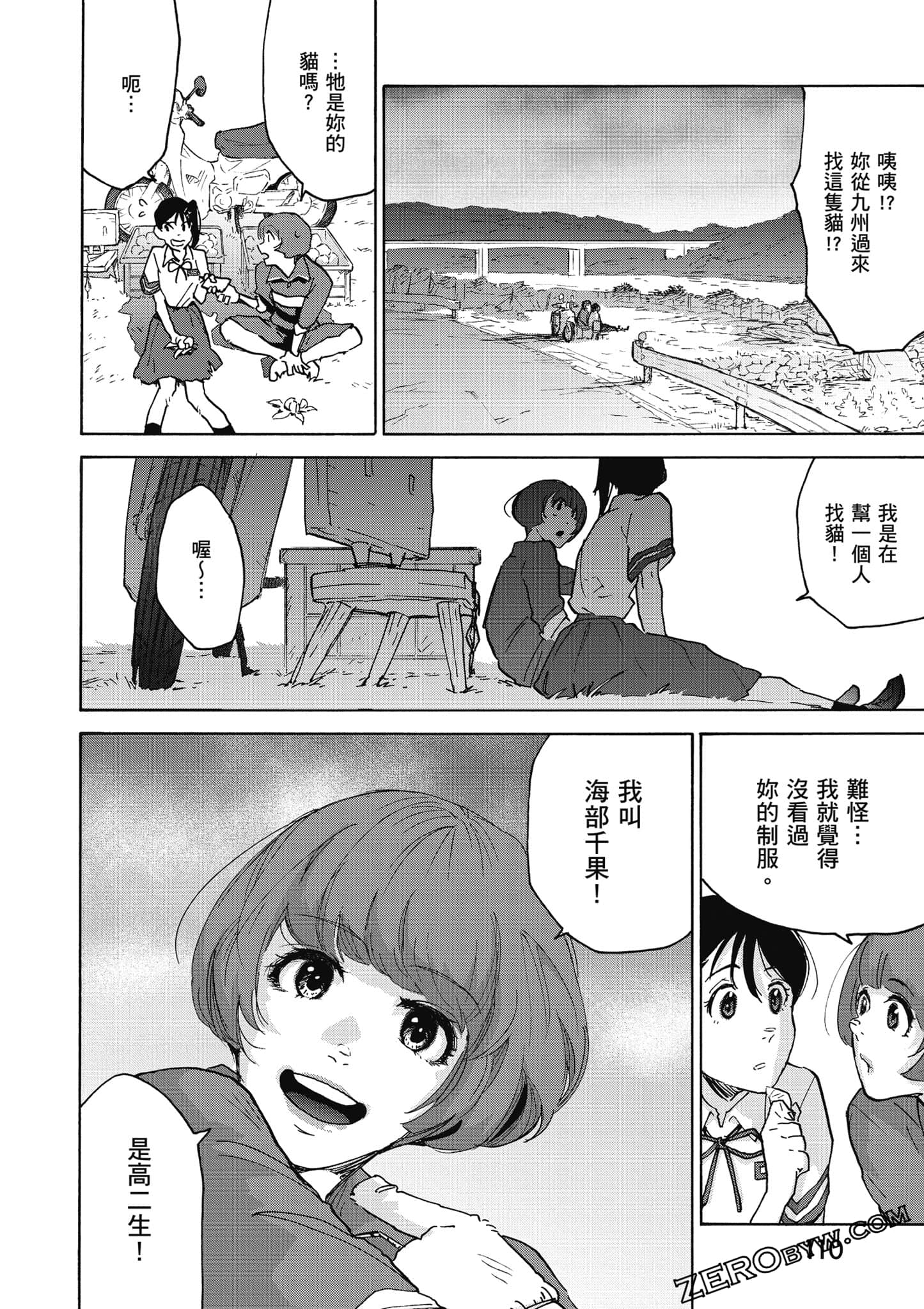 Page 111