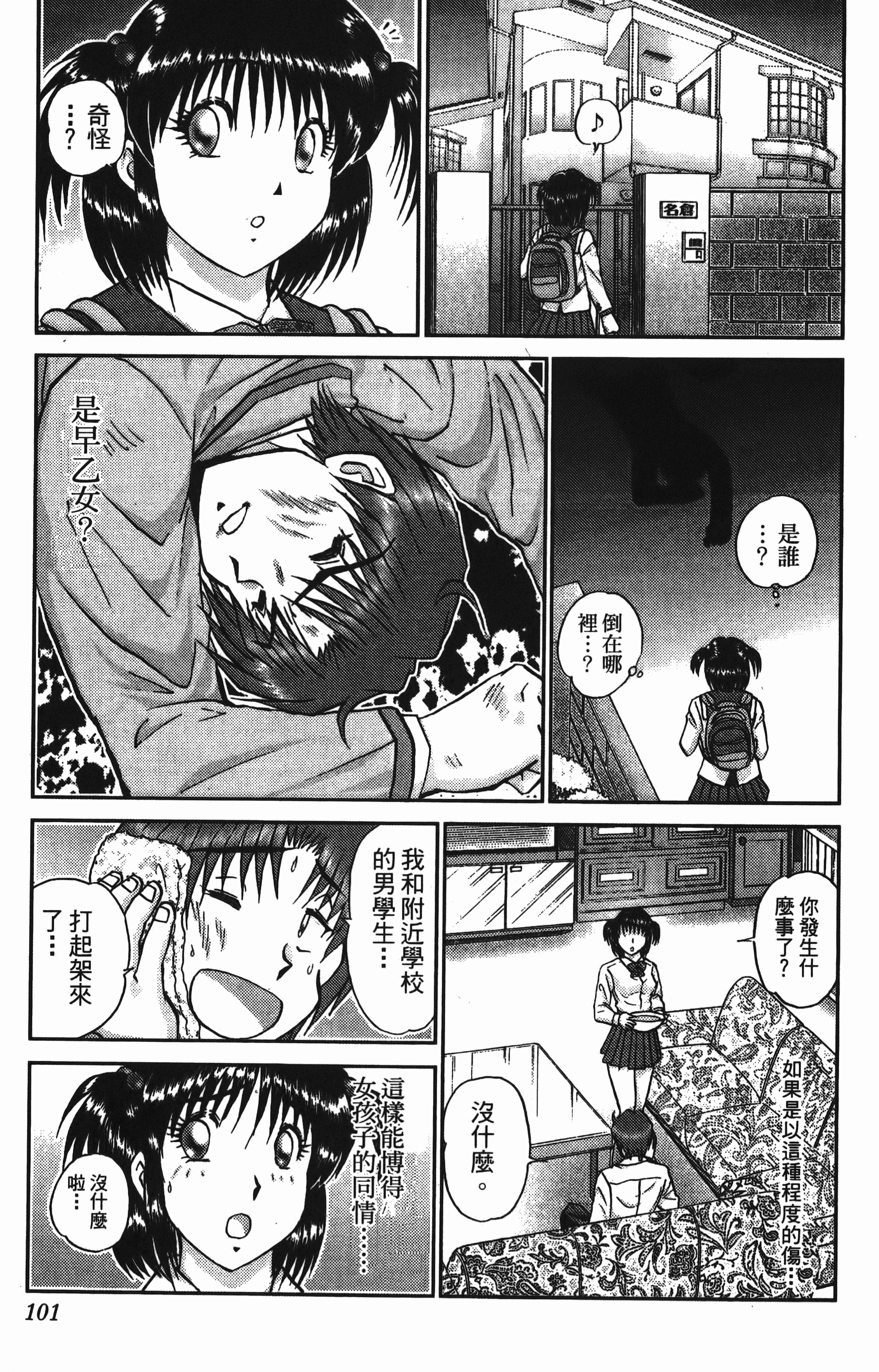 Page 101