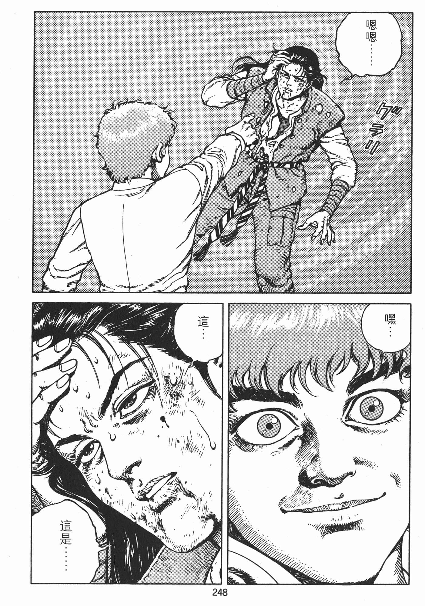Page 251