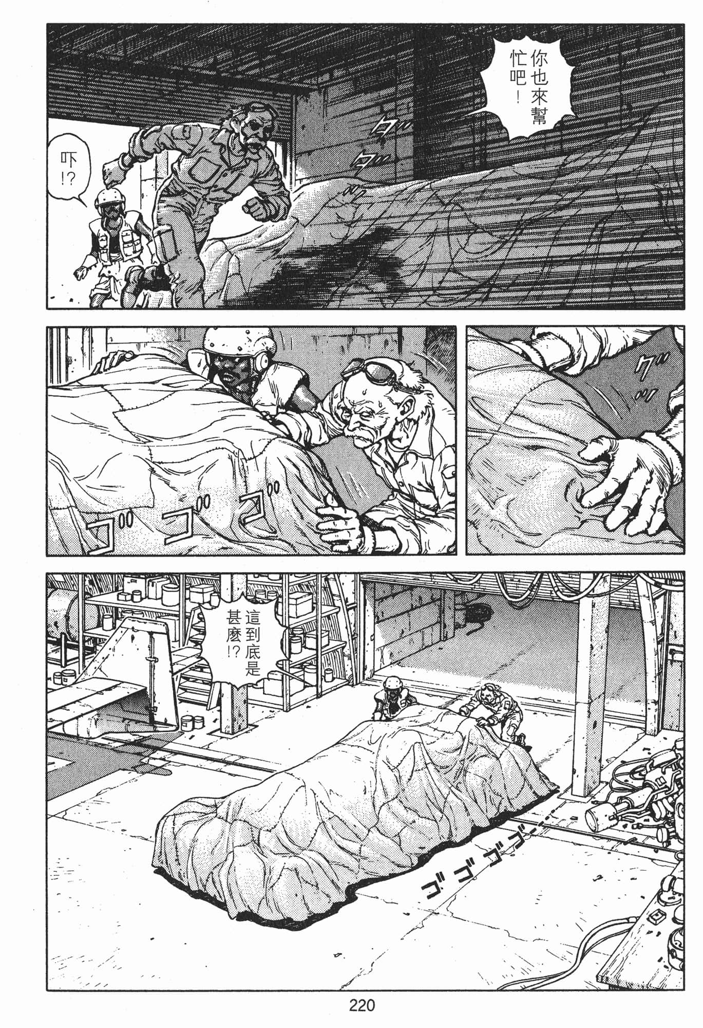 Page 223