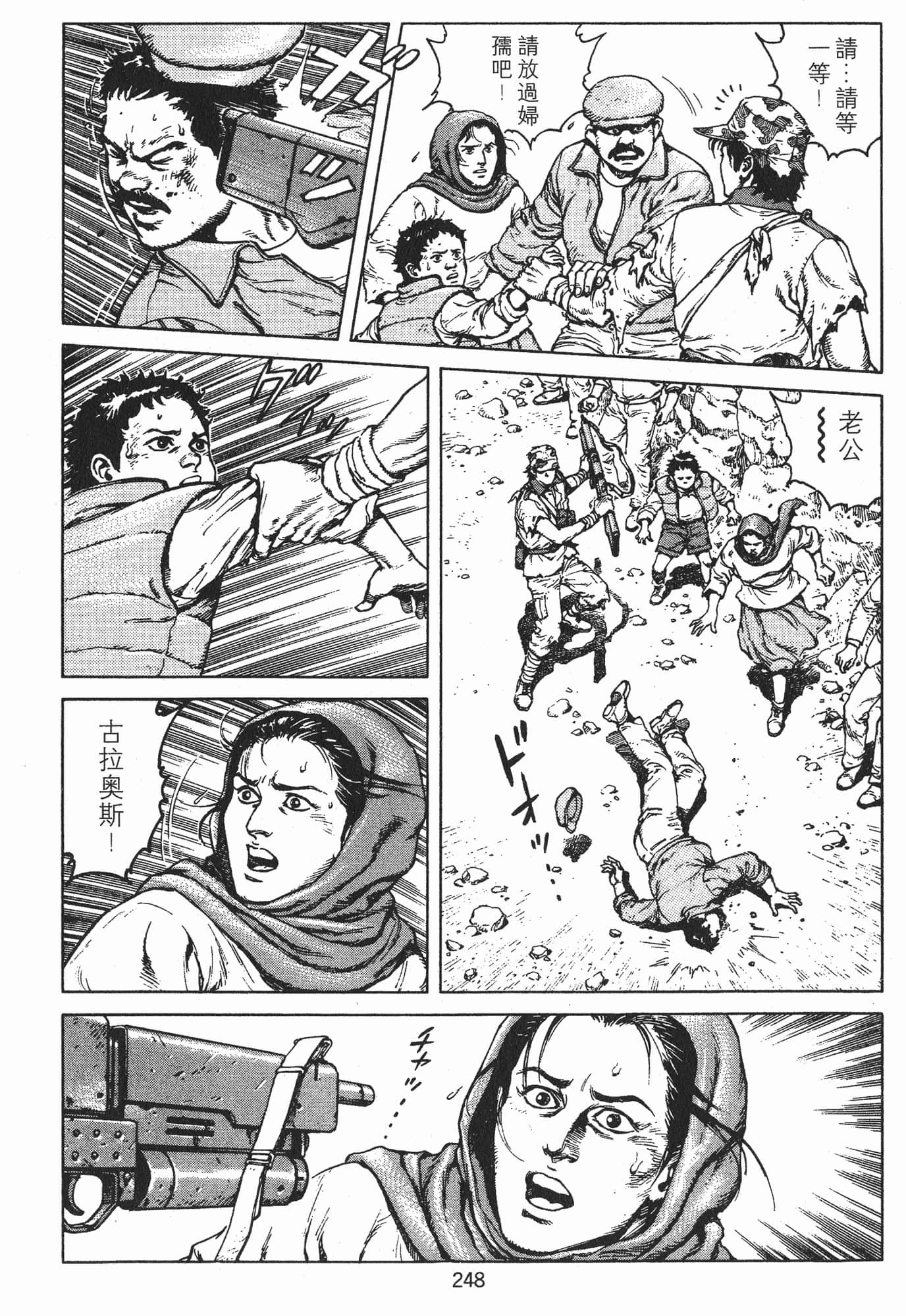 Page 251