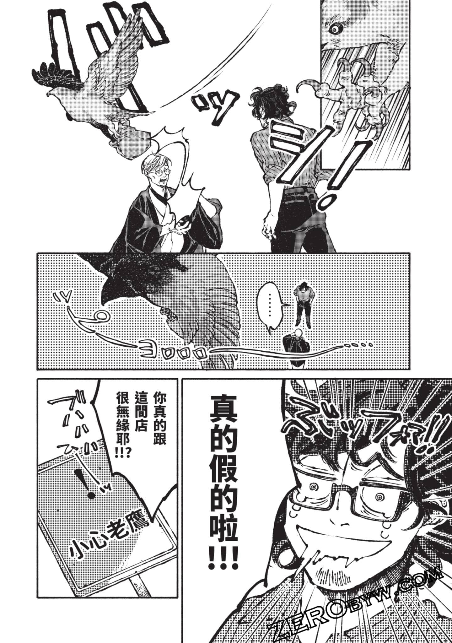 第 43 页