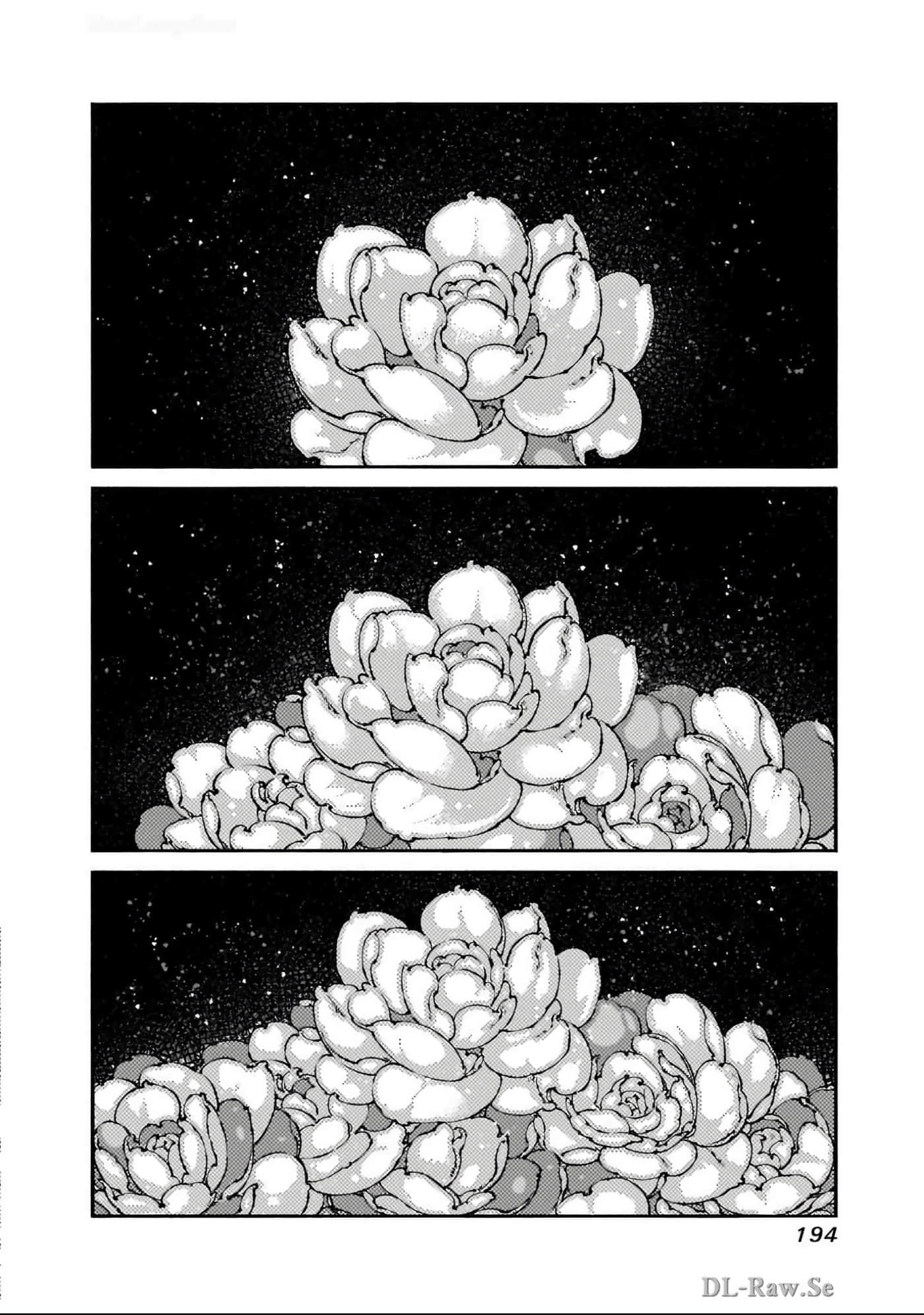 第 195 页