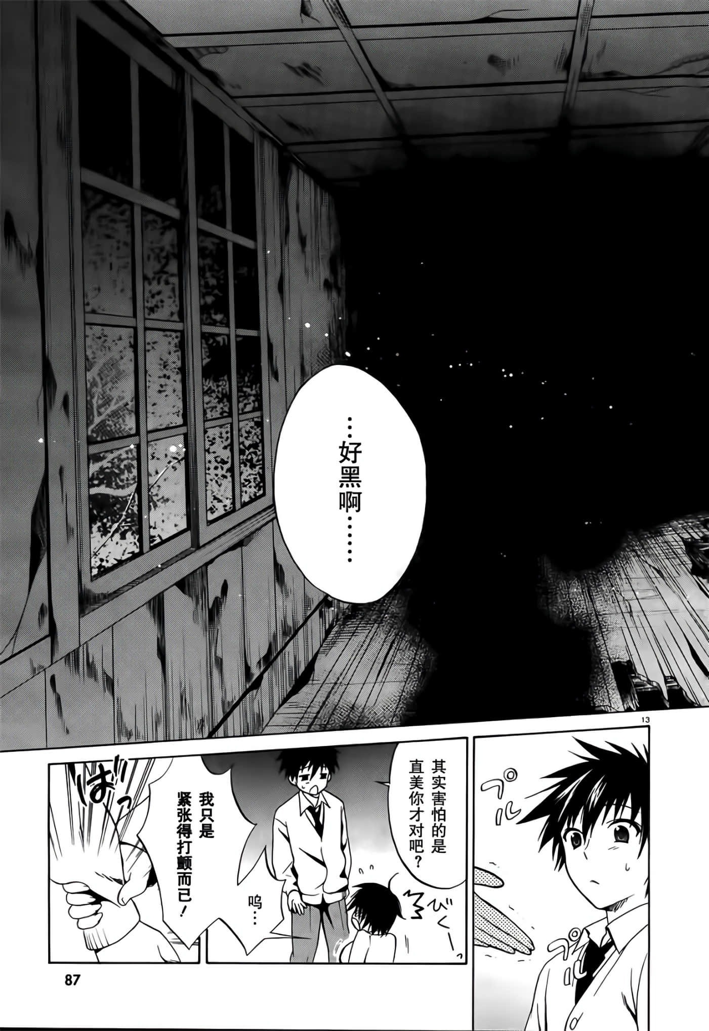 Page 13