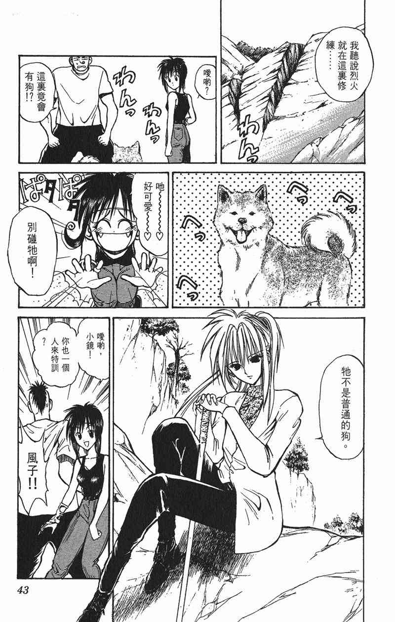 Page 43