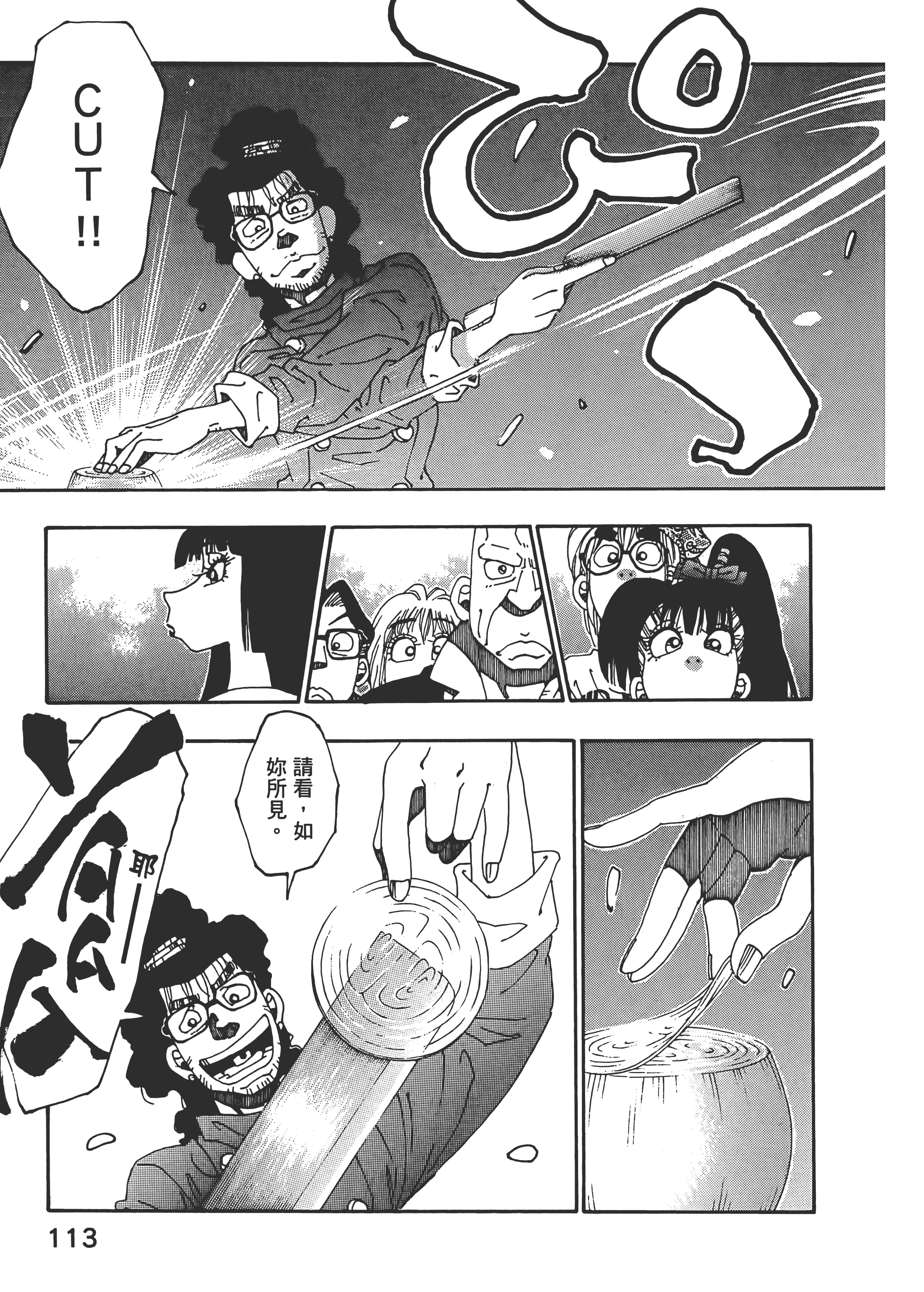 Page 113