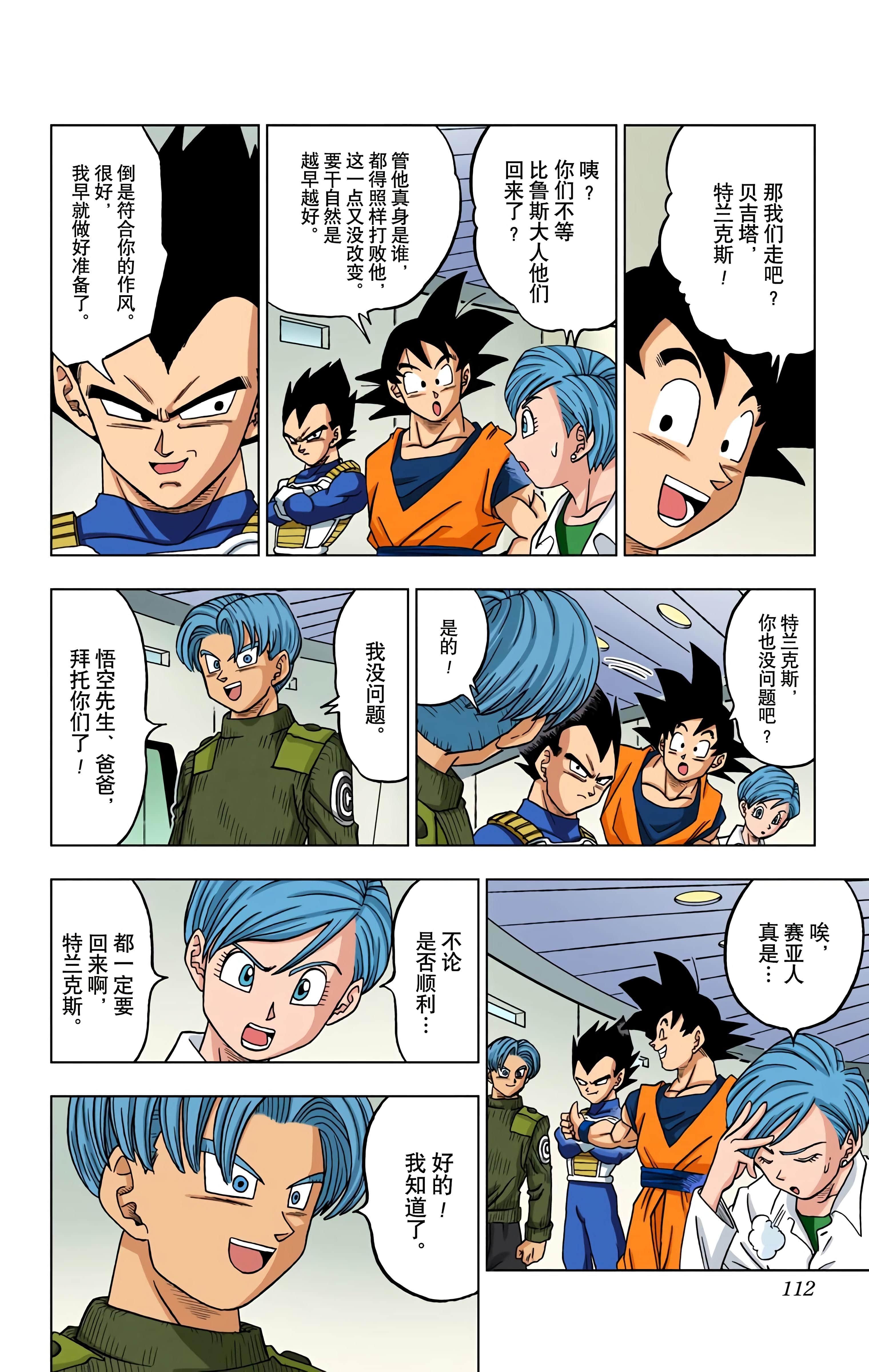Page 111