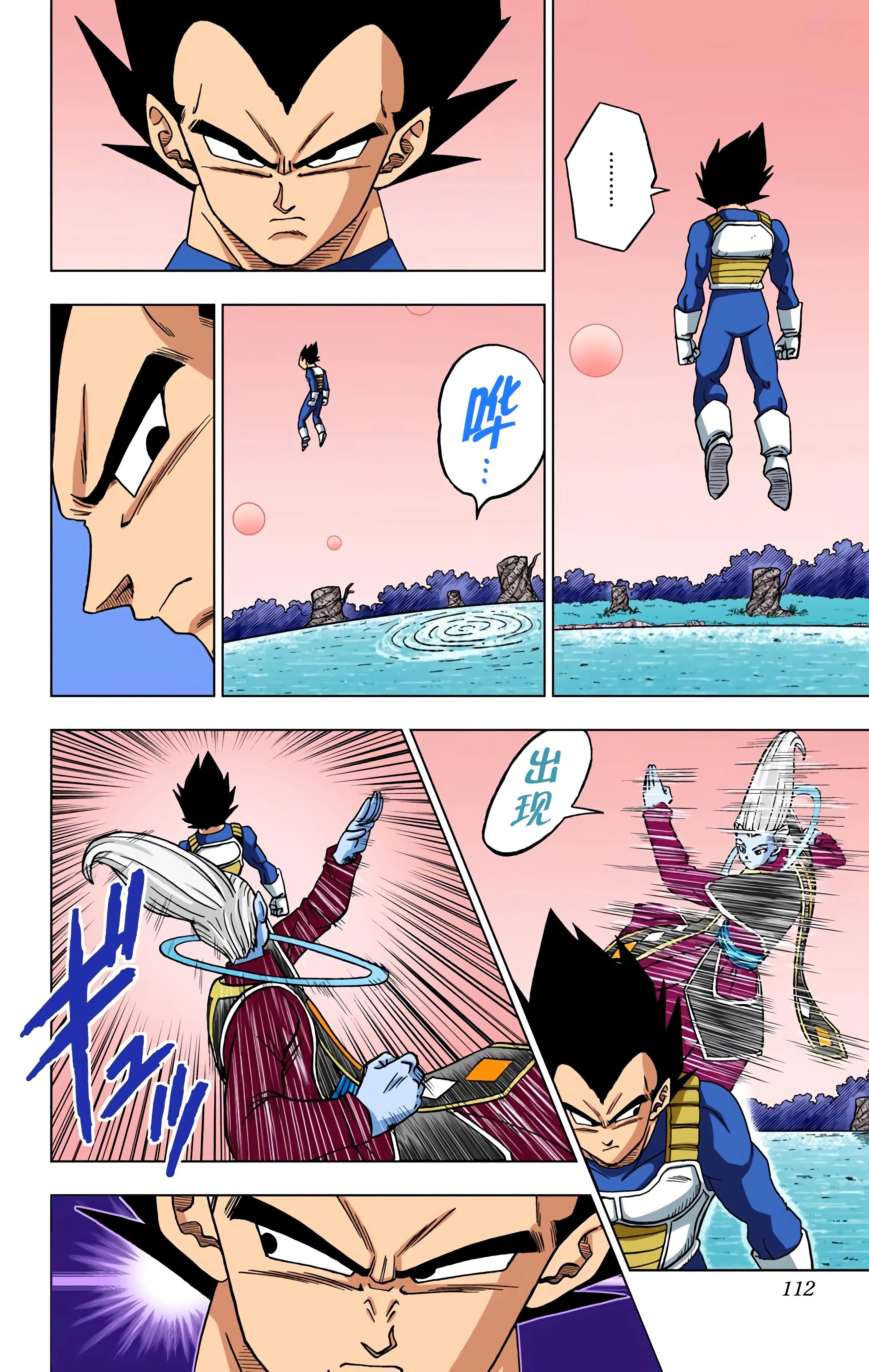 Page 111