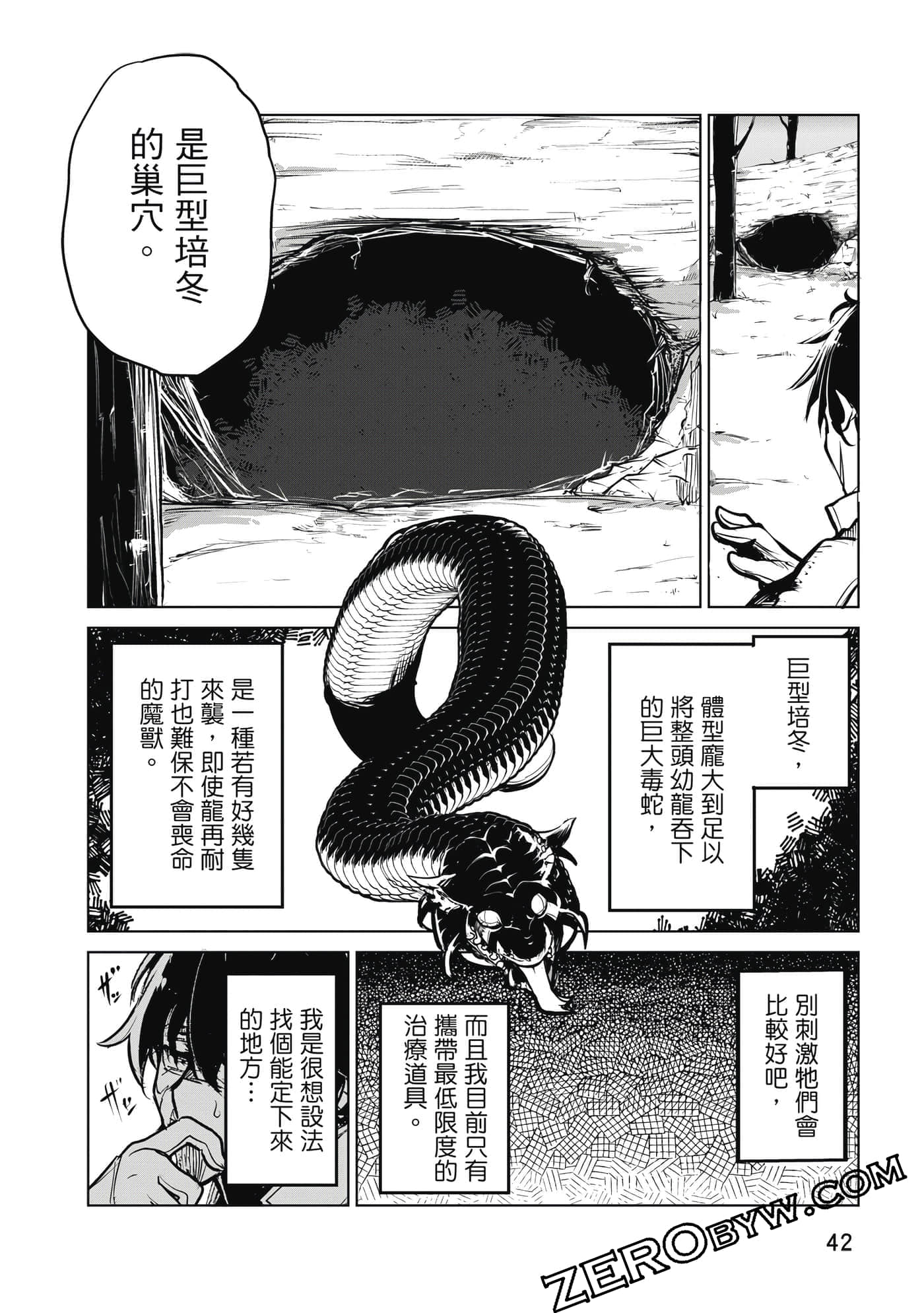 Page 43
