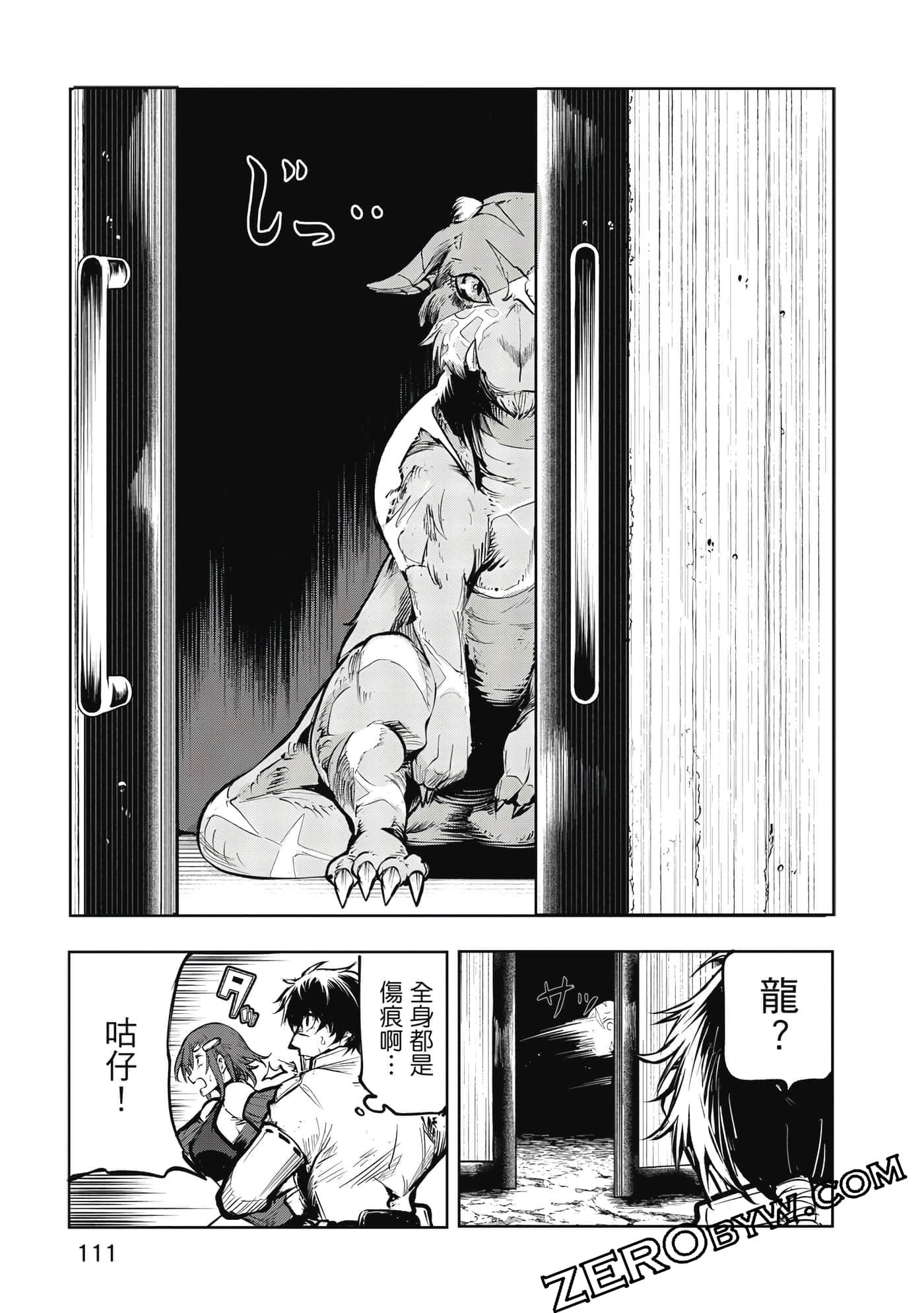 Page 112