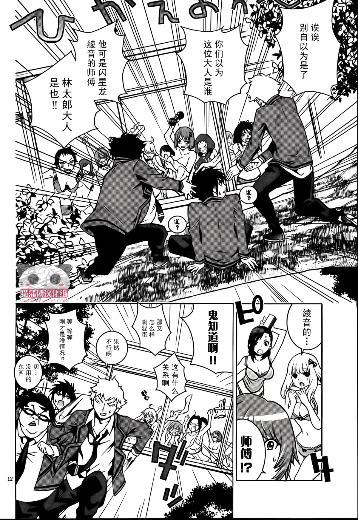 Page 12