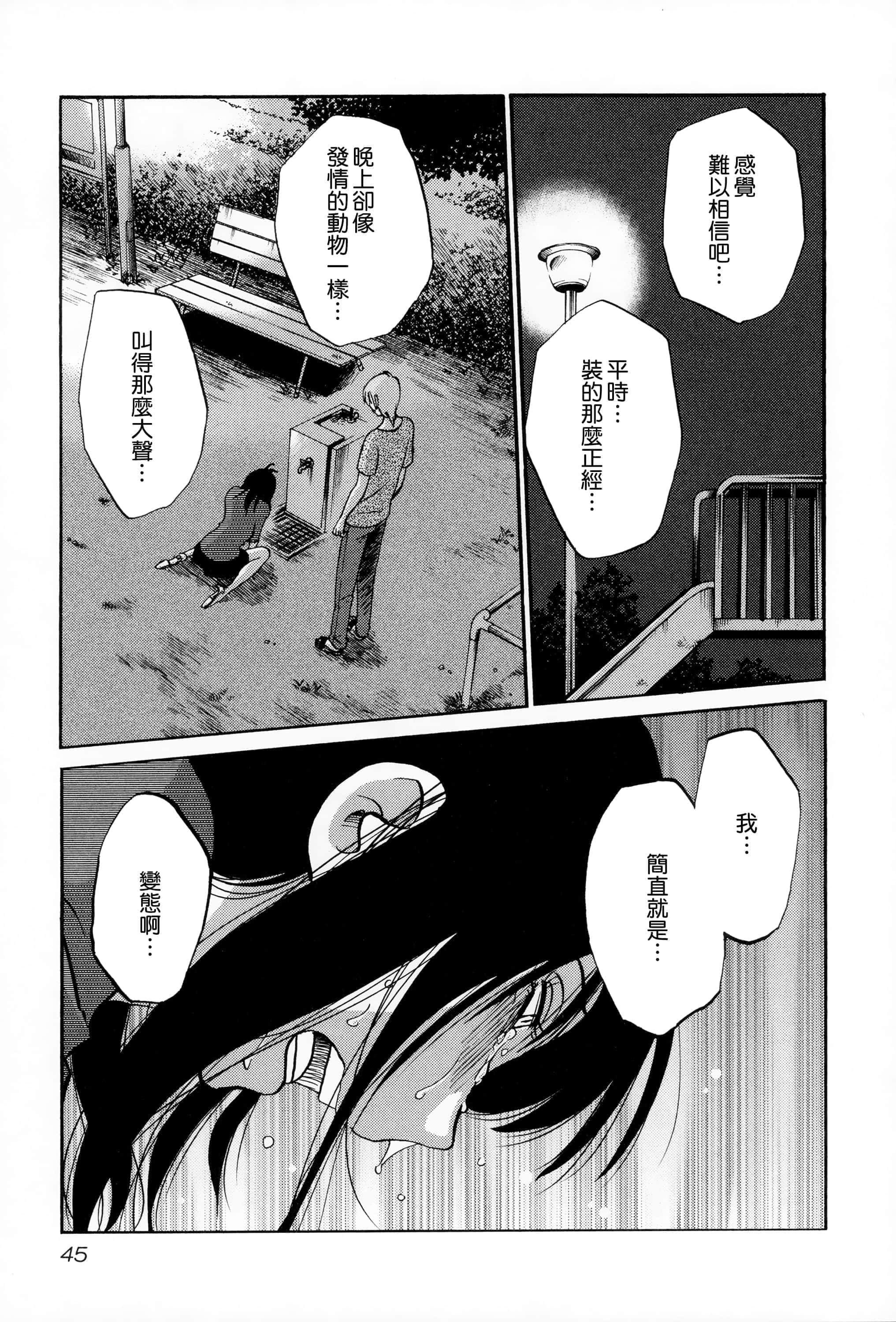 第 46 页