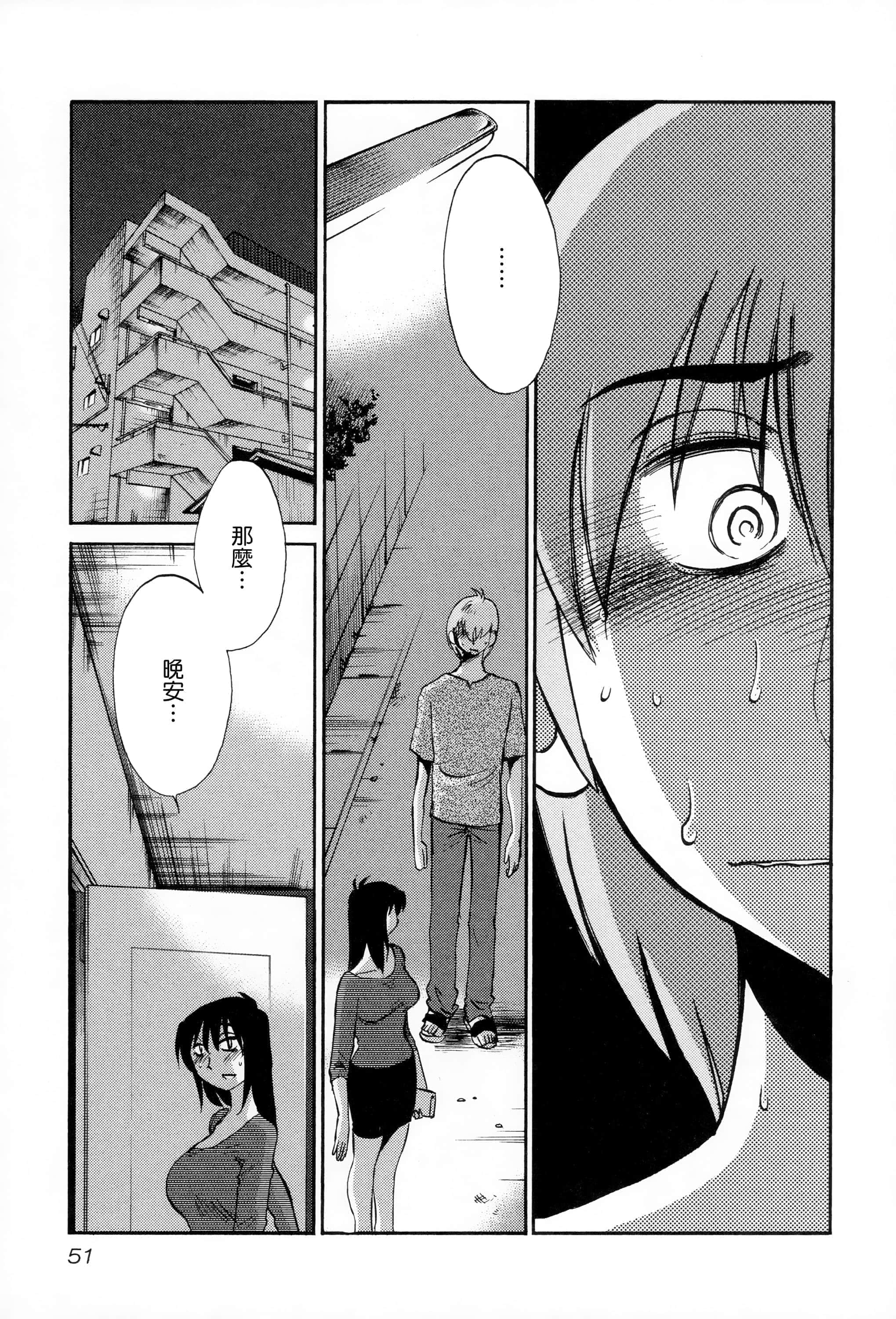 第 52 页