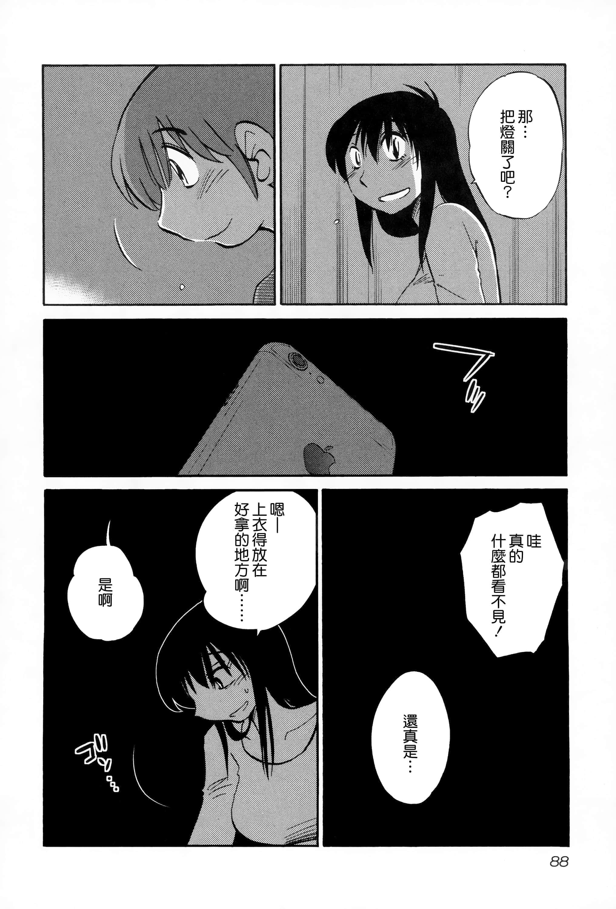 第 88 页