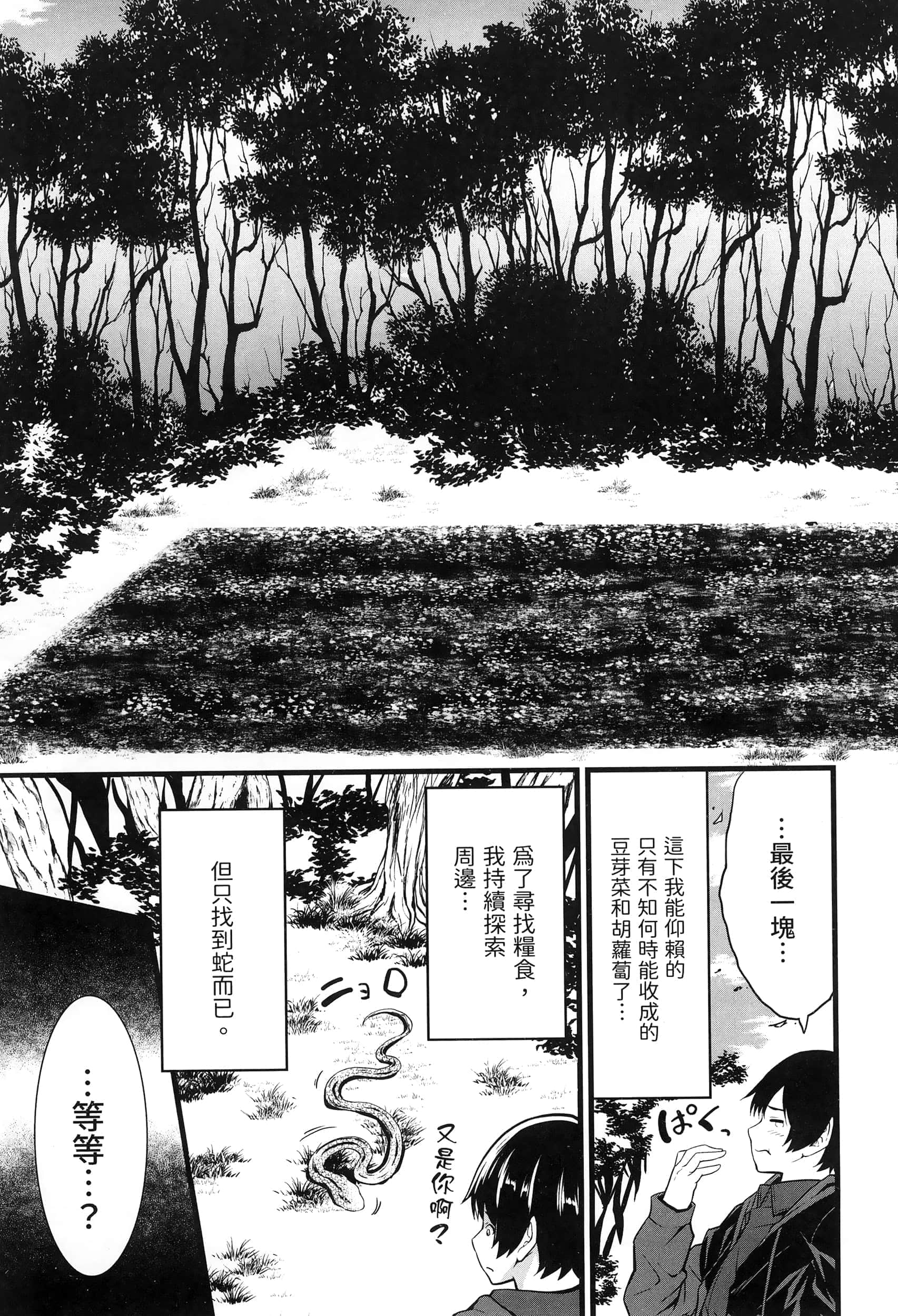 第 51 页